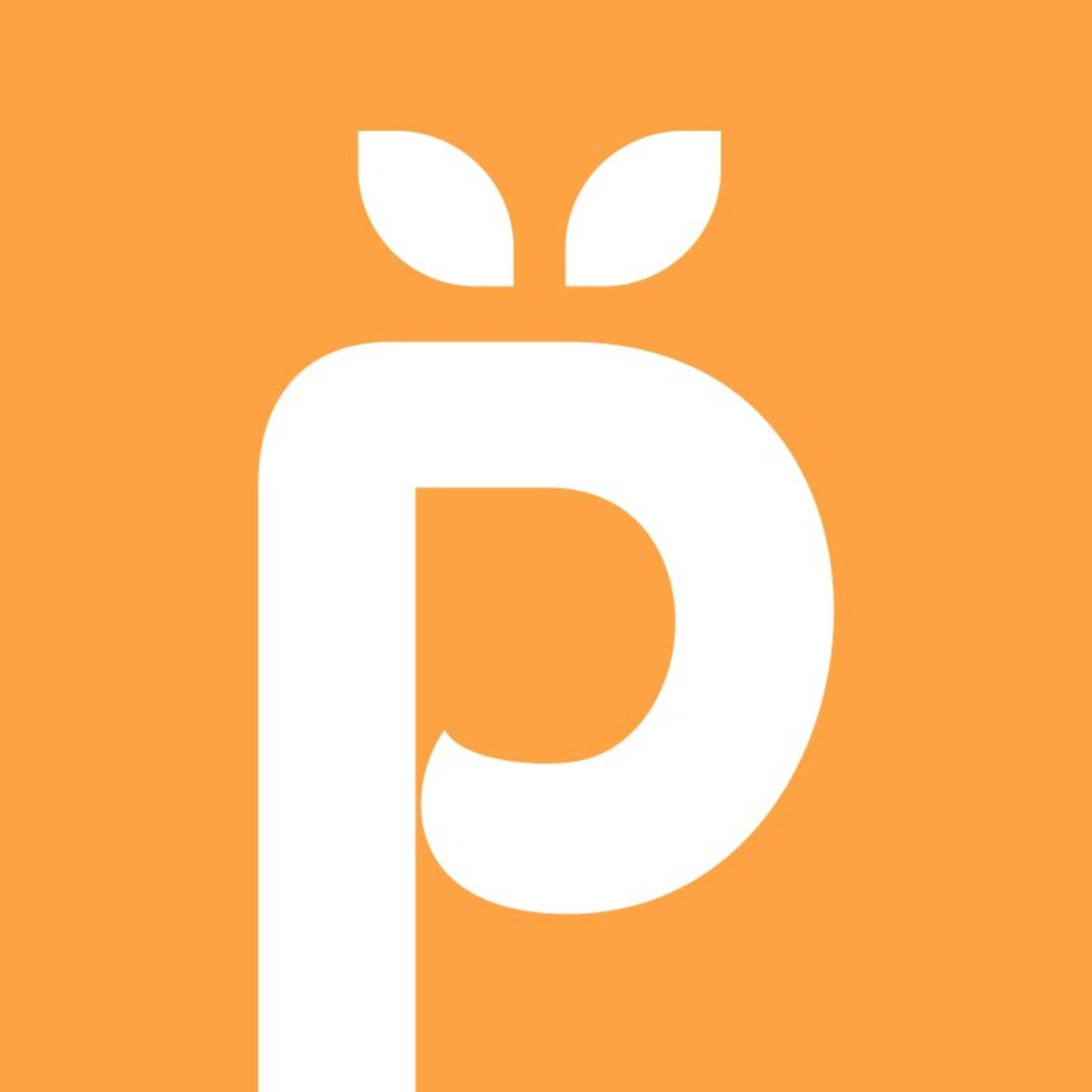 Rintis Usaha Bareng Pako cover art