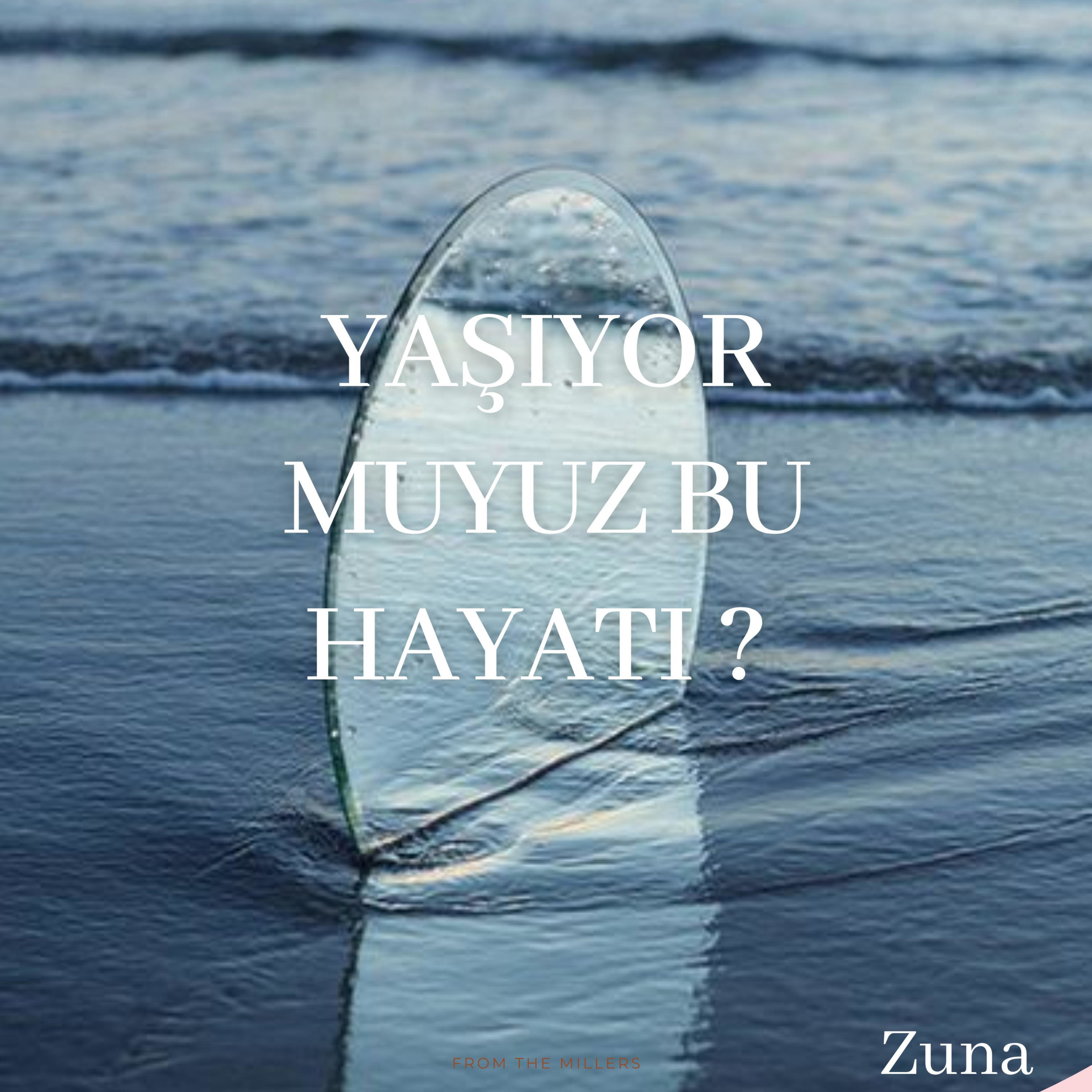 Yaşıyor muyuz bu hayatı ? 