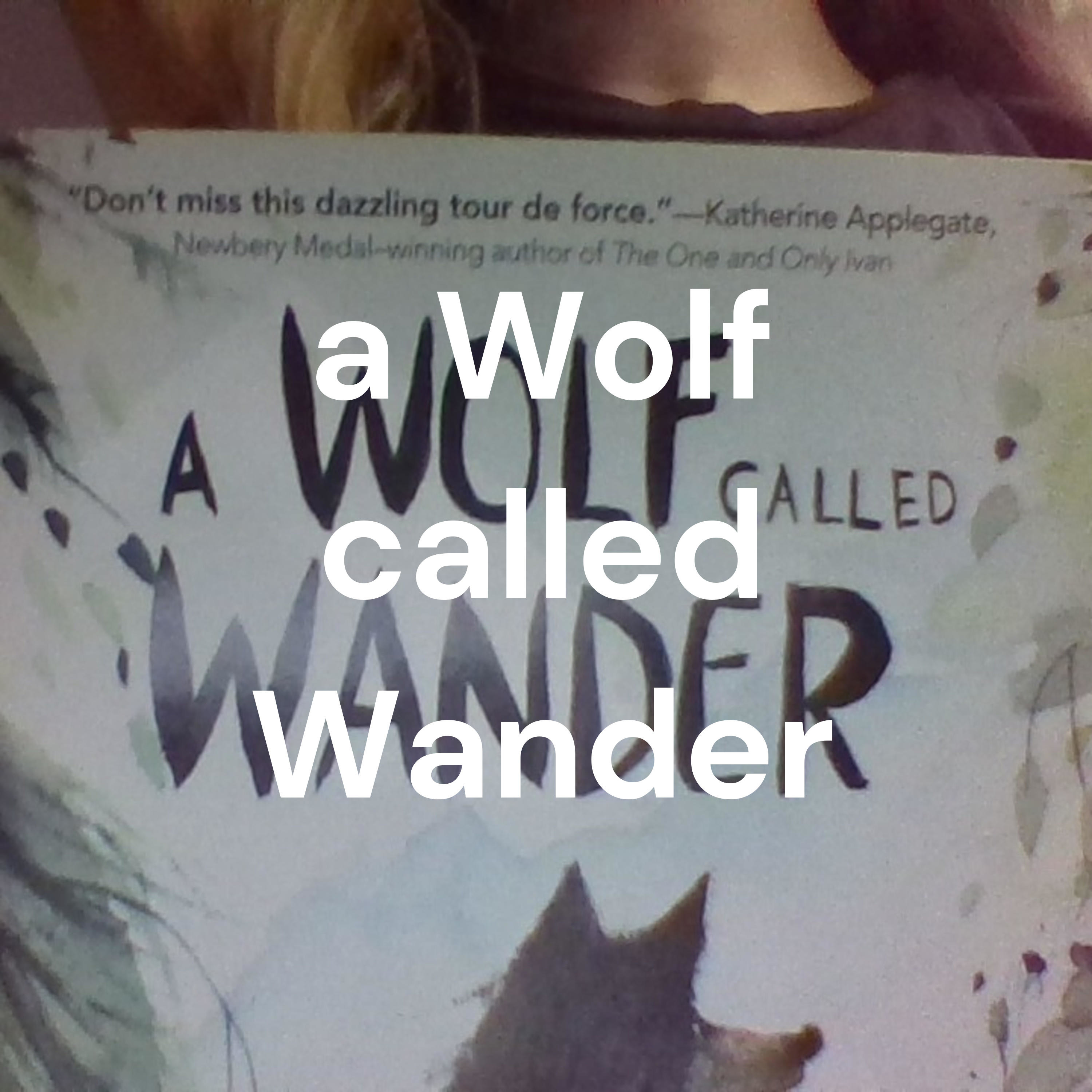 a Wolf called Wander
