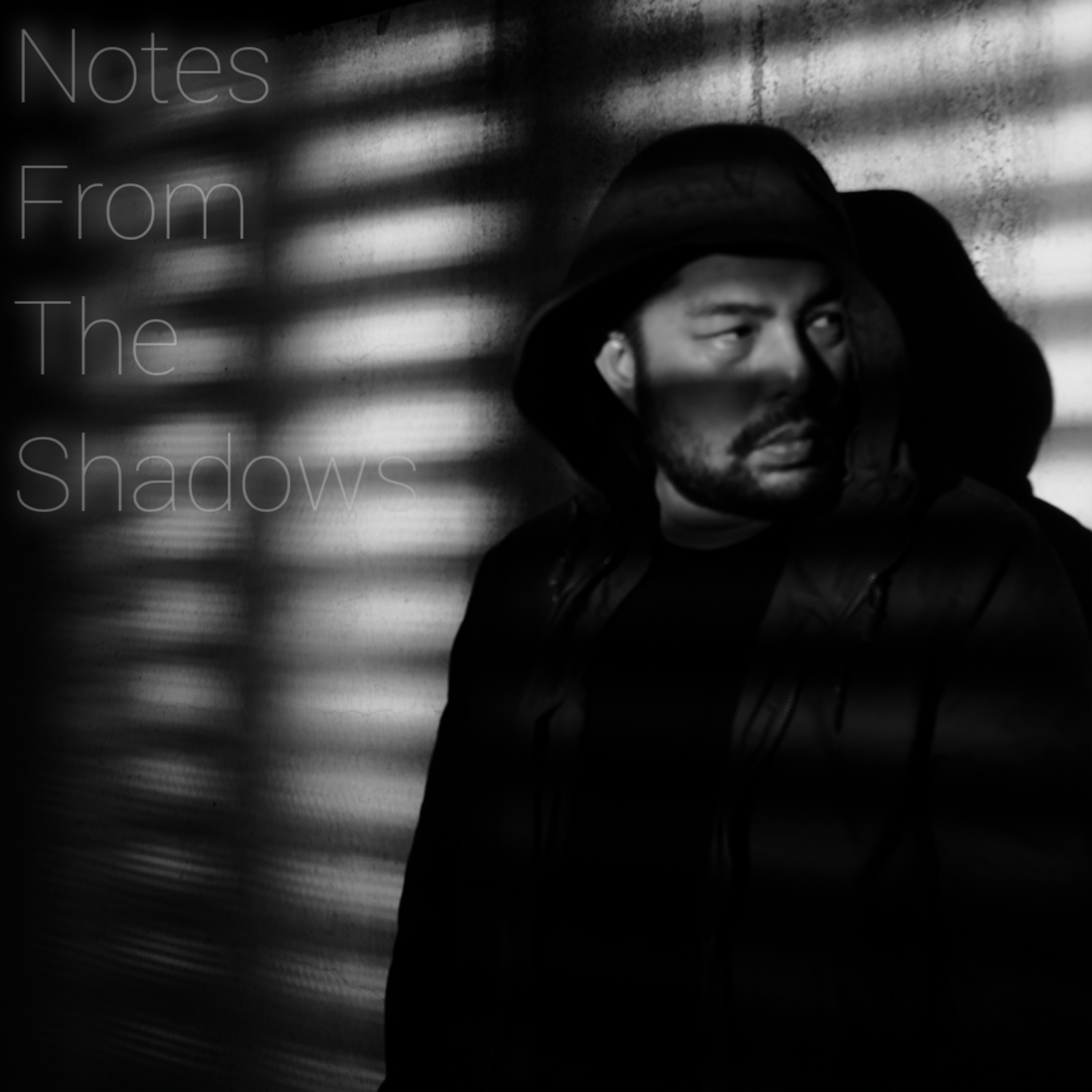 Notes From The Shadows podcast artwork
