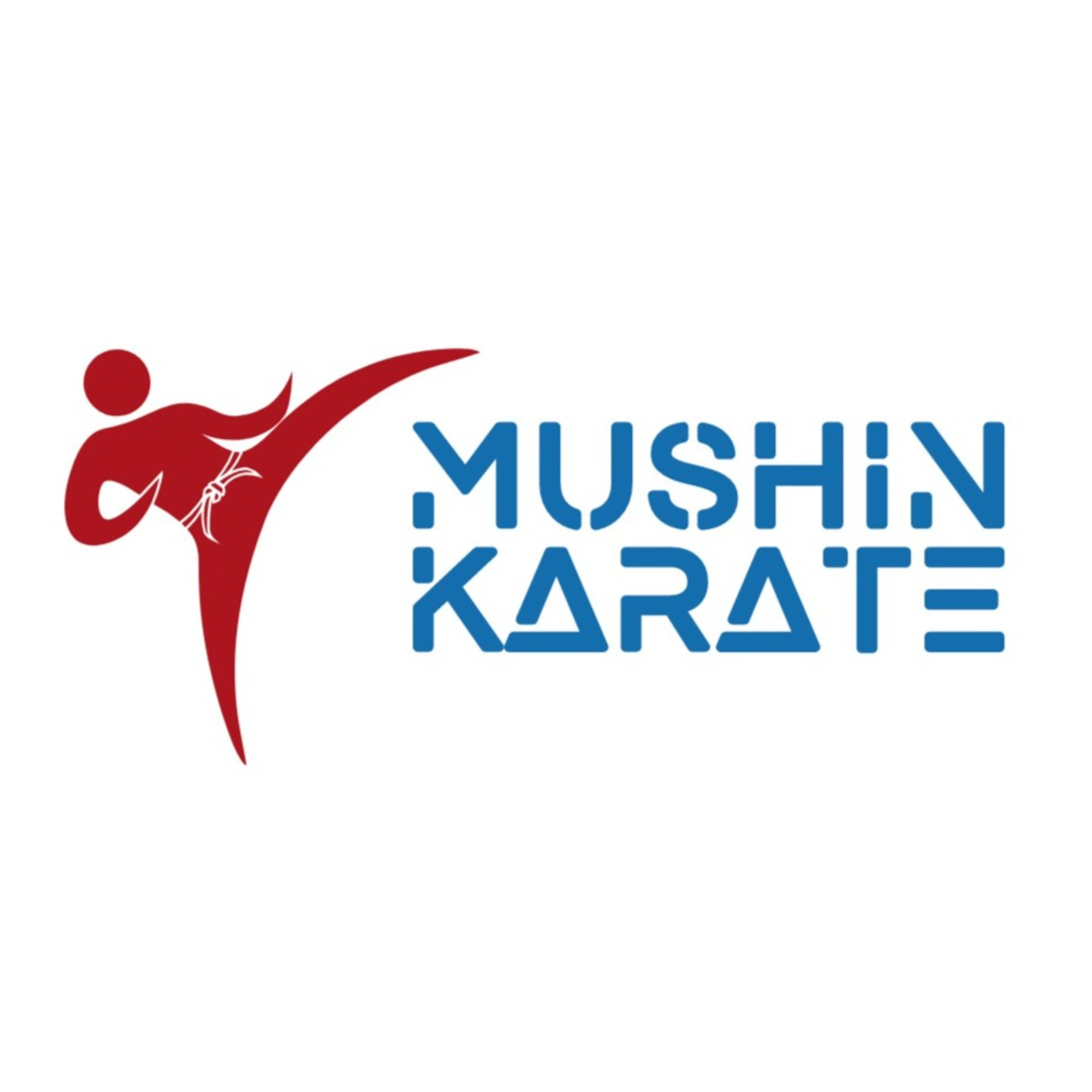 Mushin Karate Podcast podcast artwork