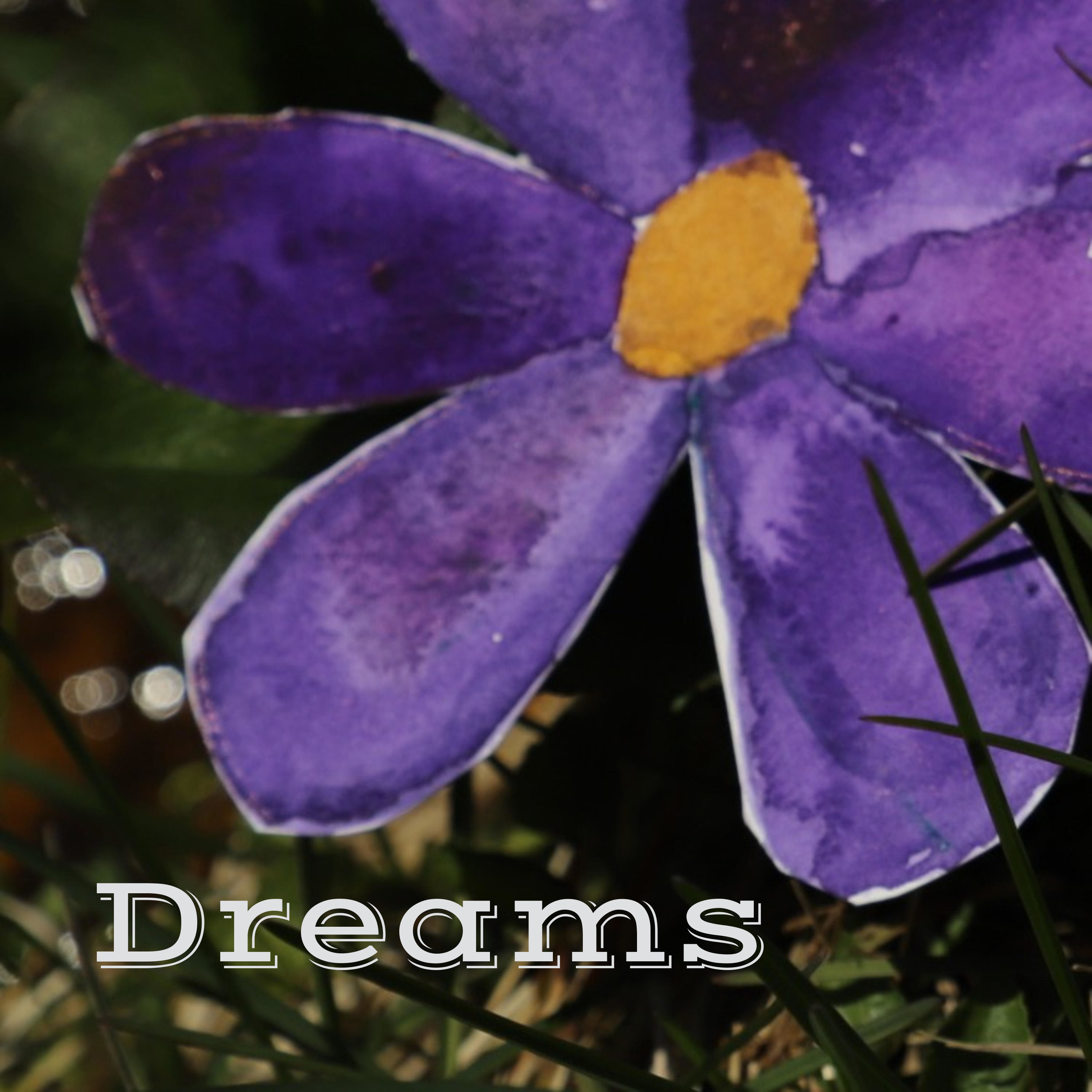 Dreams: Importance and Cultural Significance