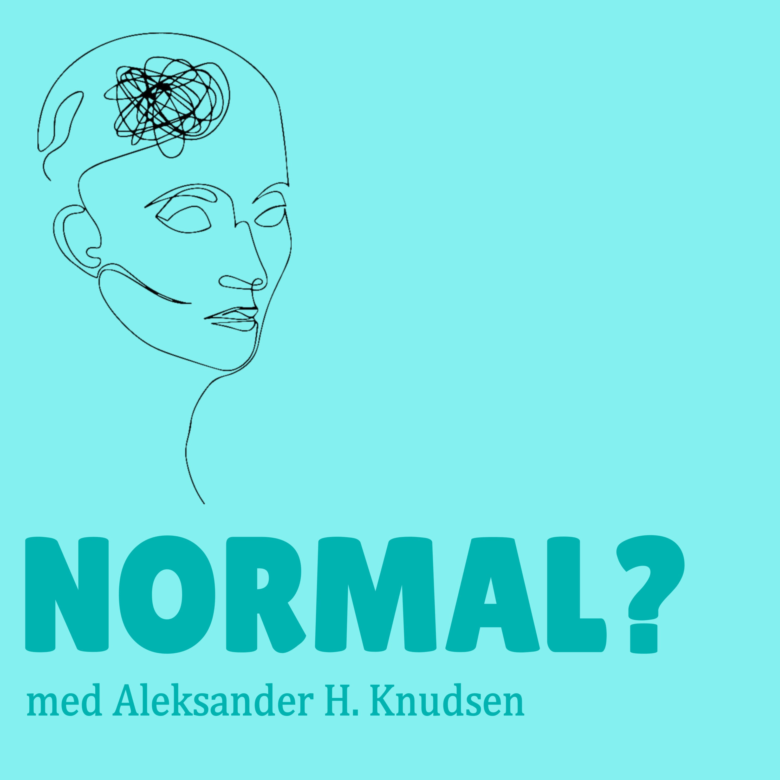 En (måske) normal dreng af Aleksander Knudsen