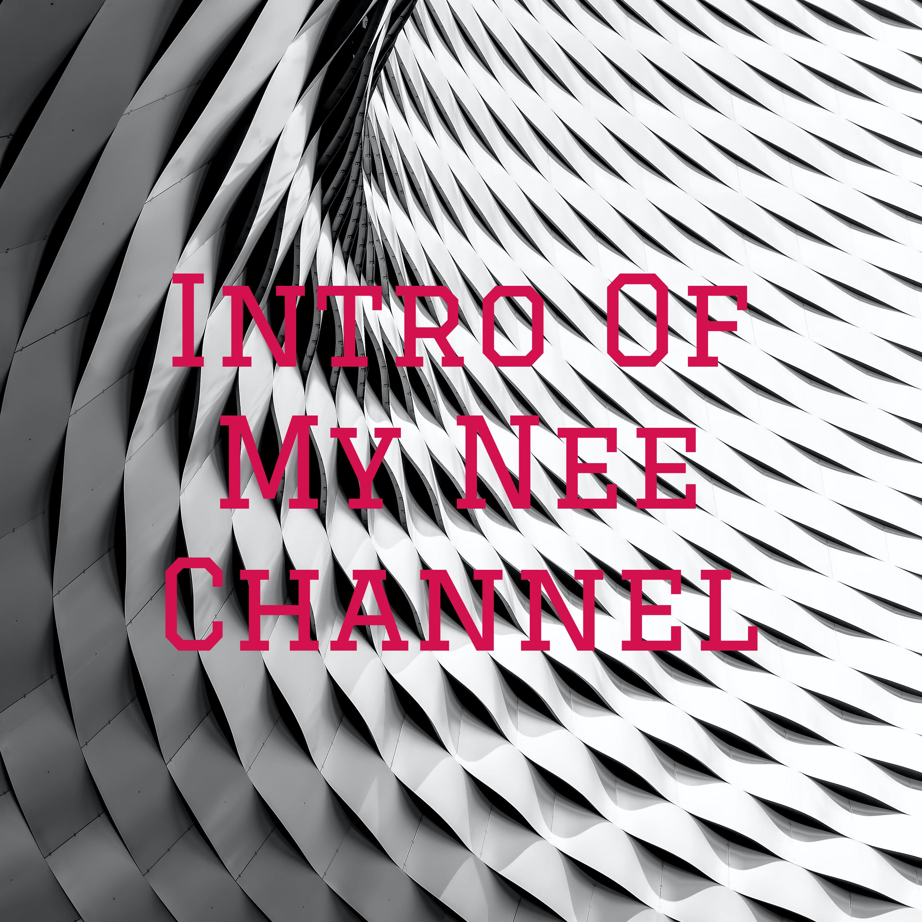 Intro Of My Nee Channel