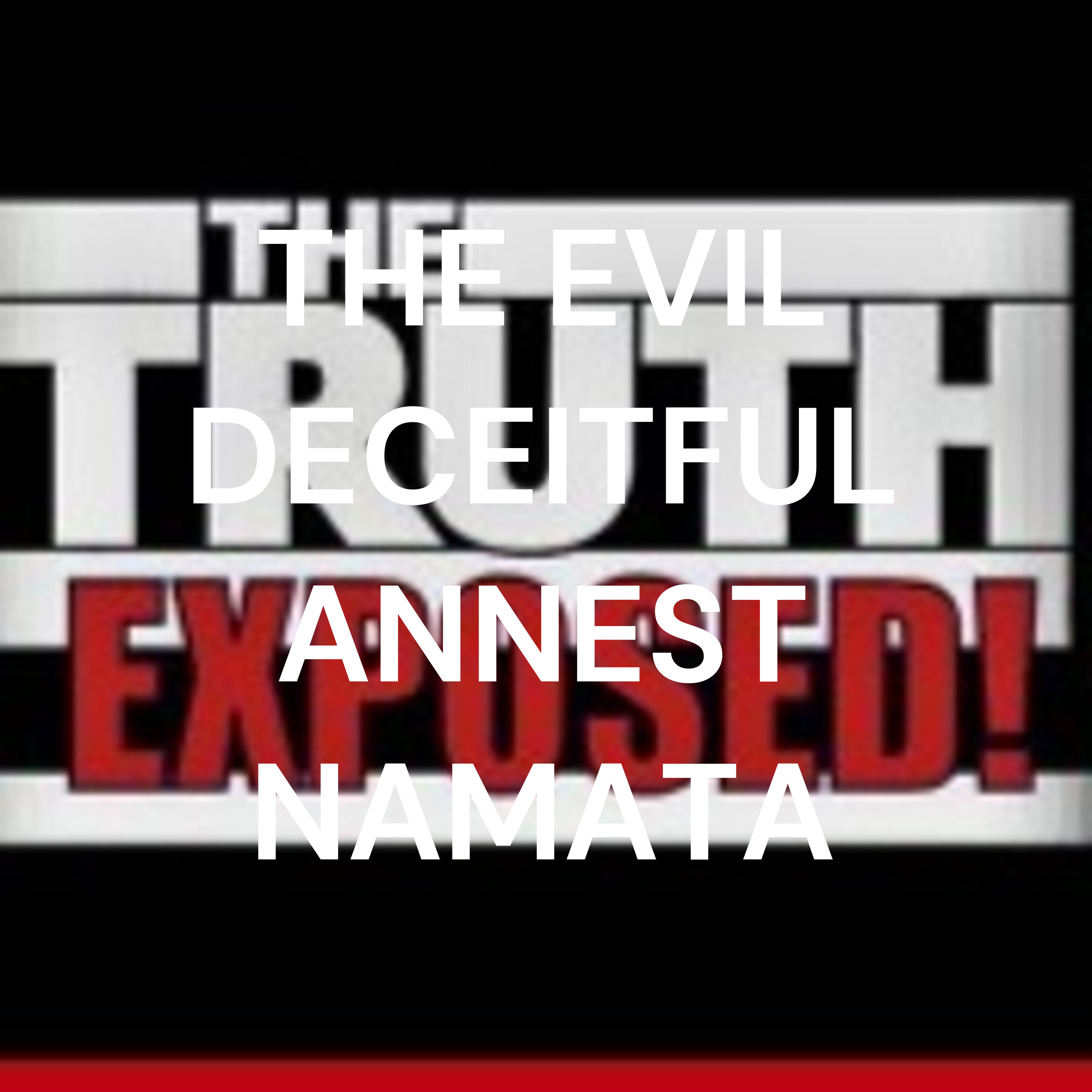 THE EVIL DECEITFUL ANNEST NAMATA