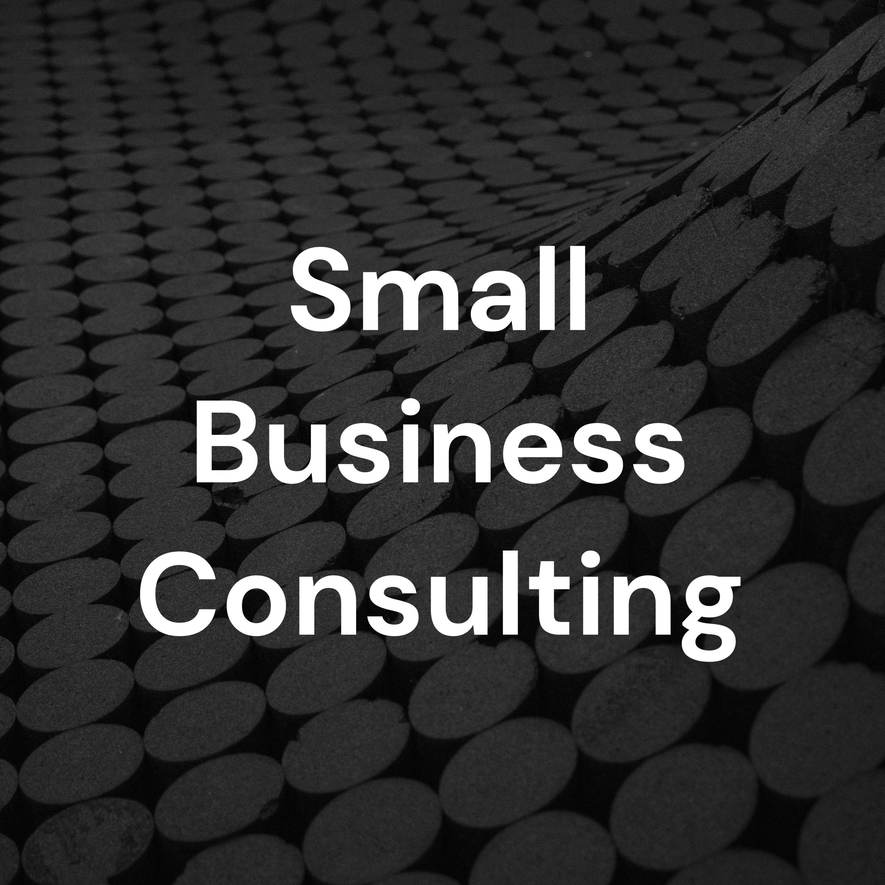 Small Business Consulting cover art