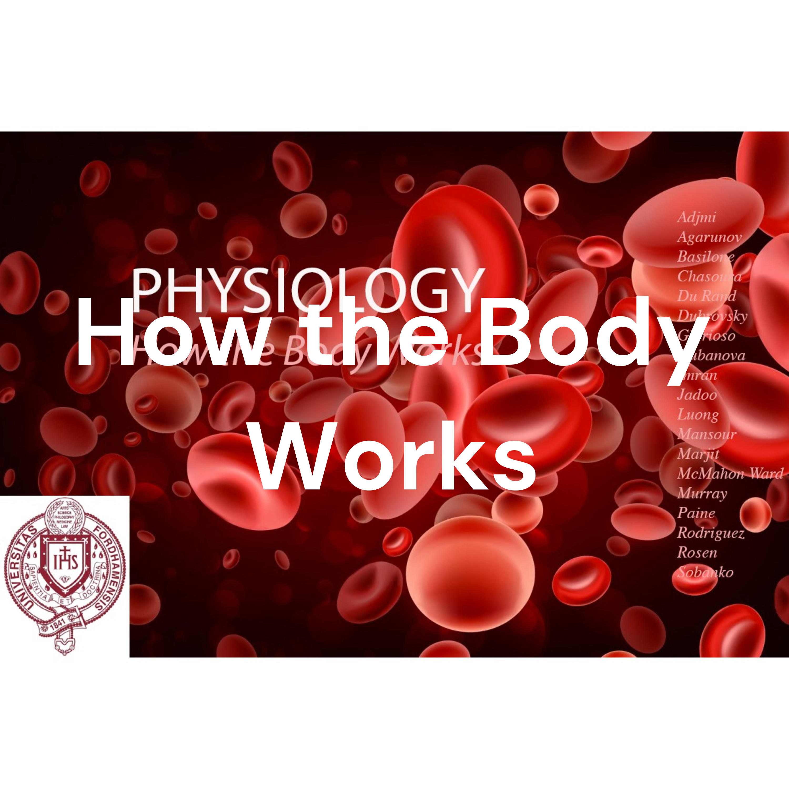 Physiology for Everyone - How the Body Works
