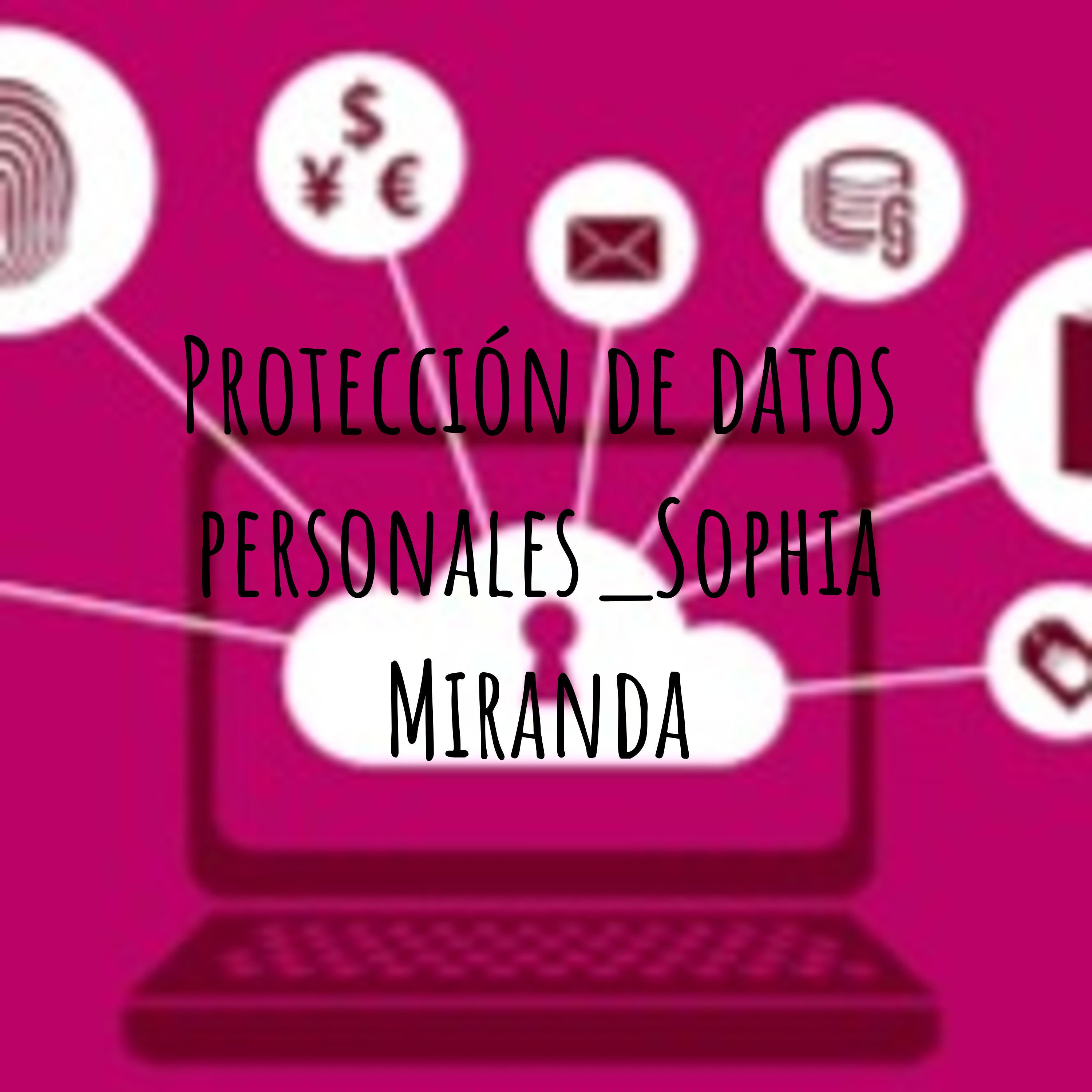 Protección de datos personales_Sophia Miranda cover art
