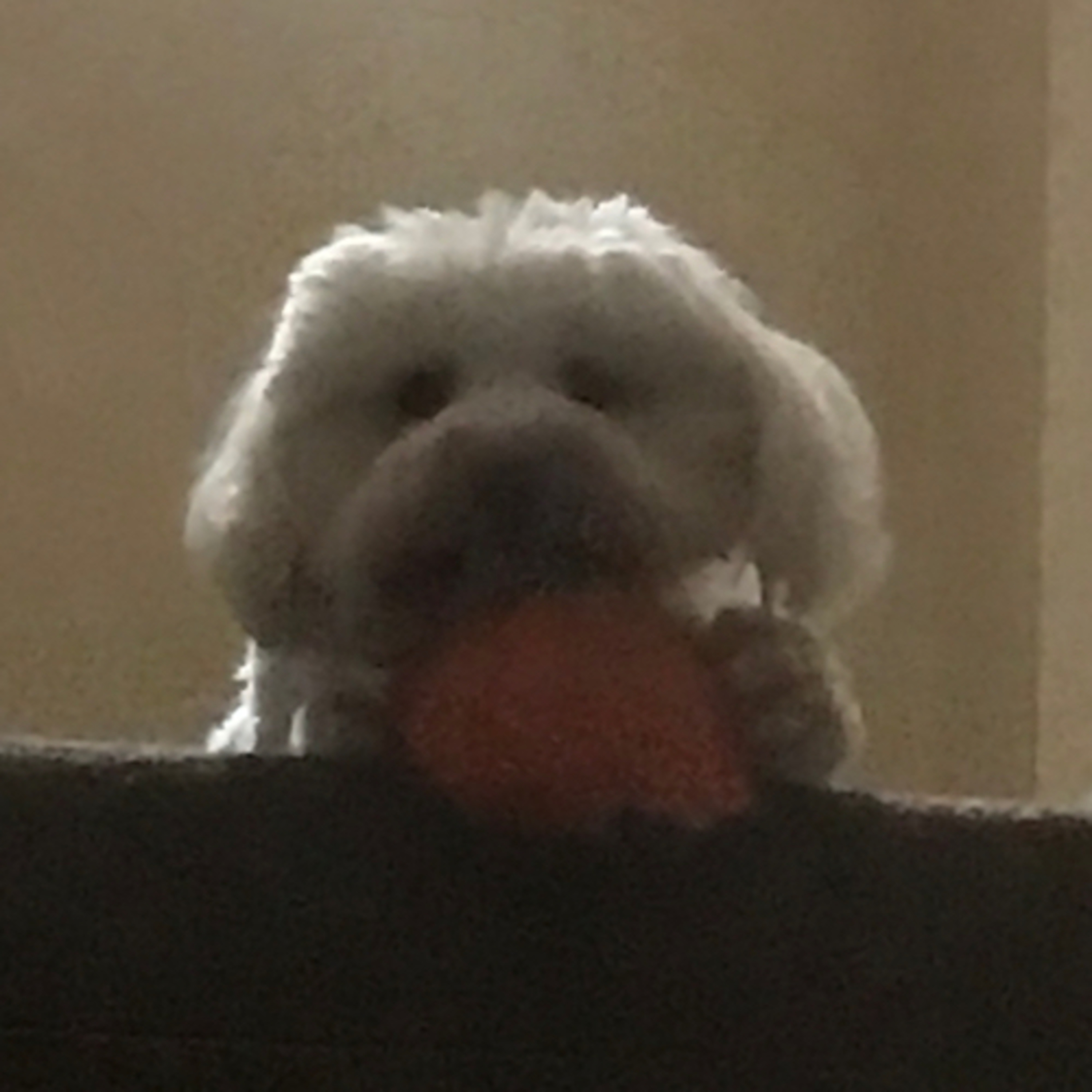 Led by Good gc (5 mins max))