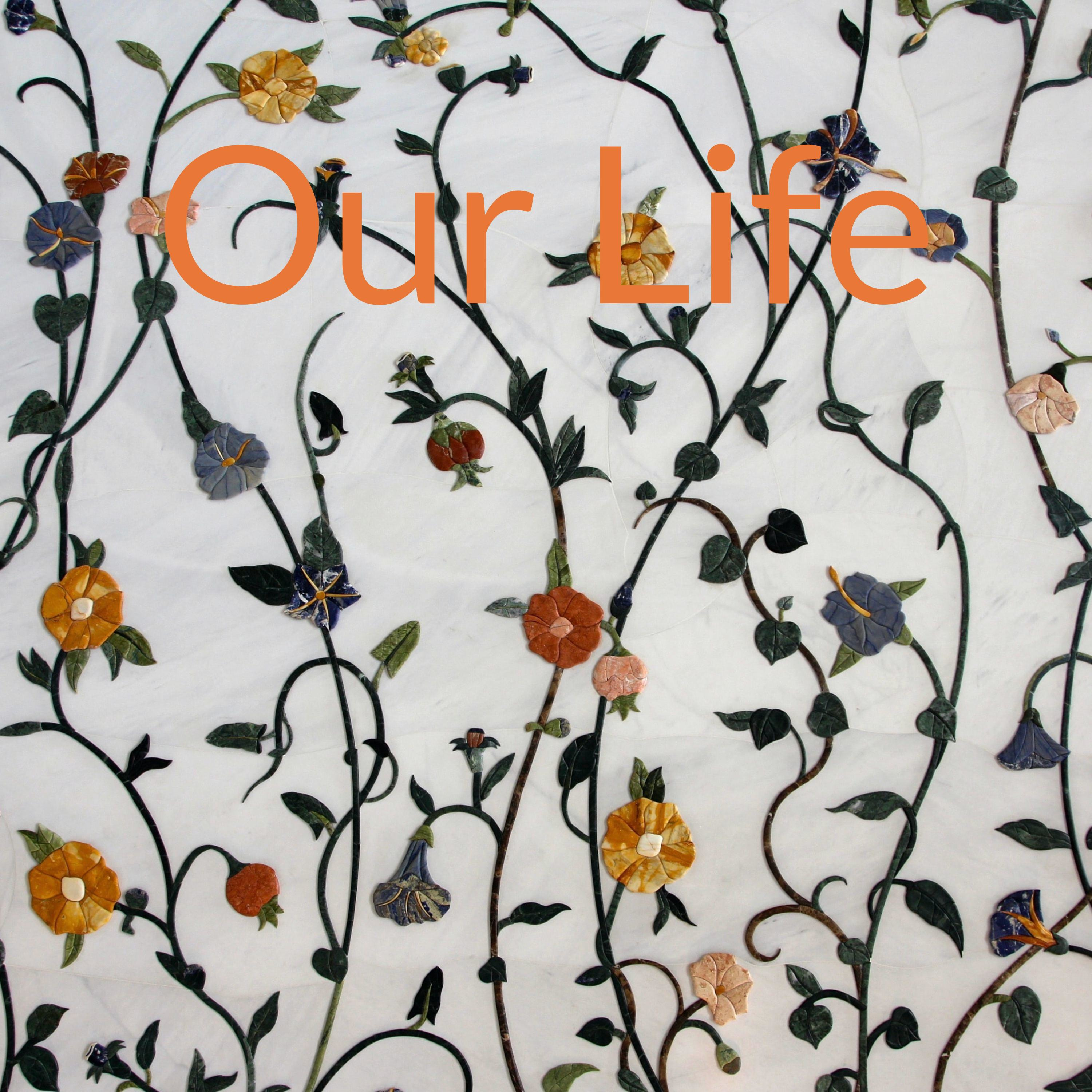 Our Life