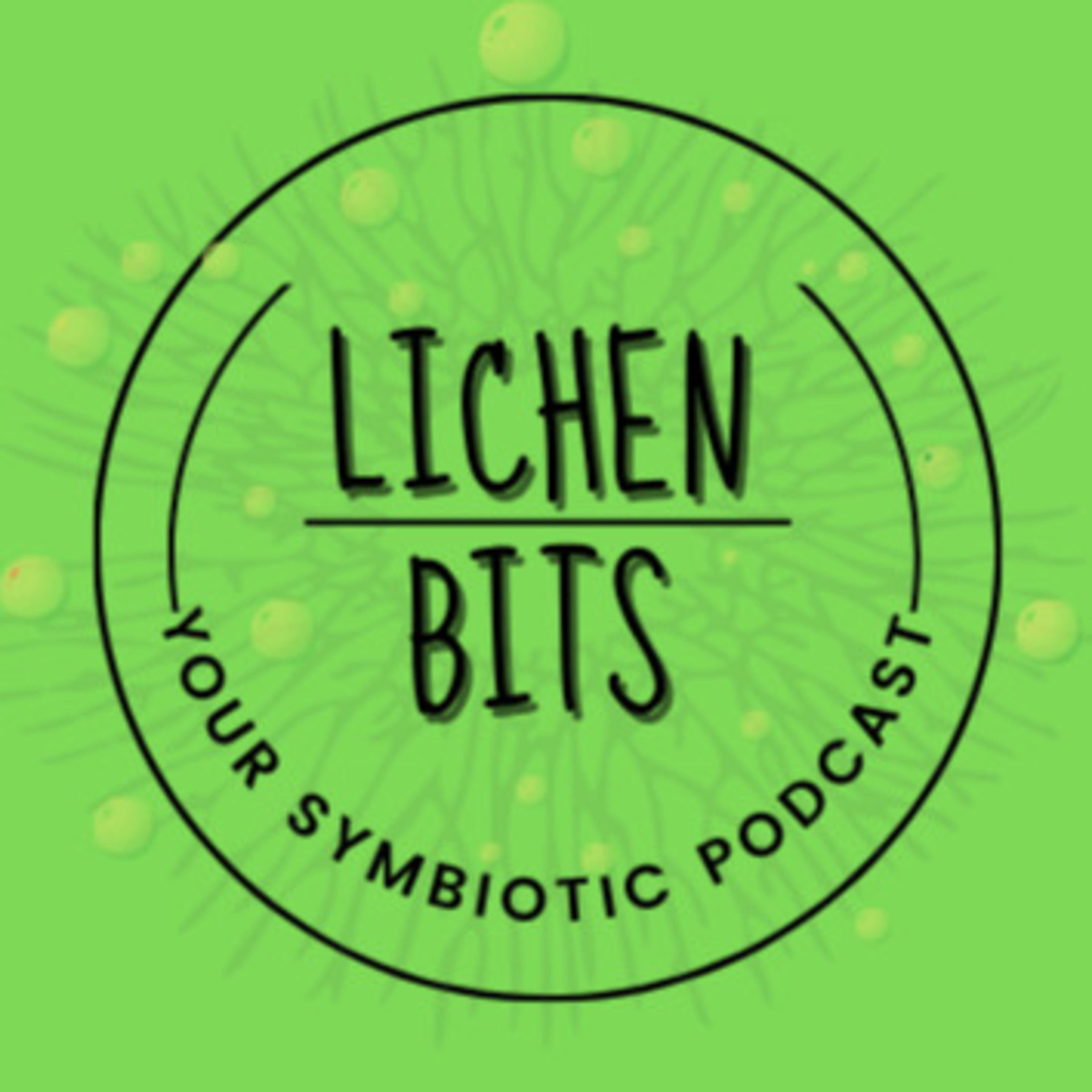 Lichen Bits podcast artwork