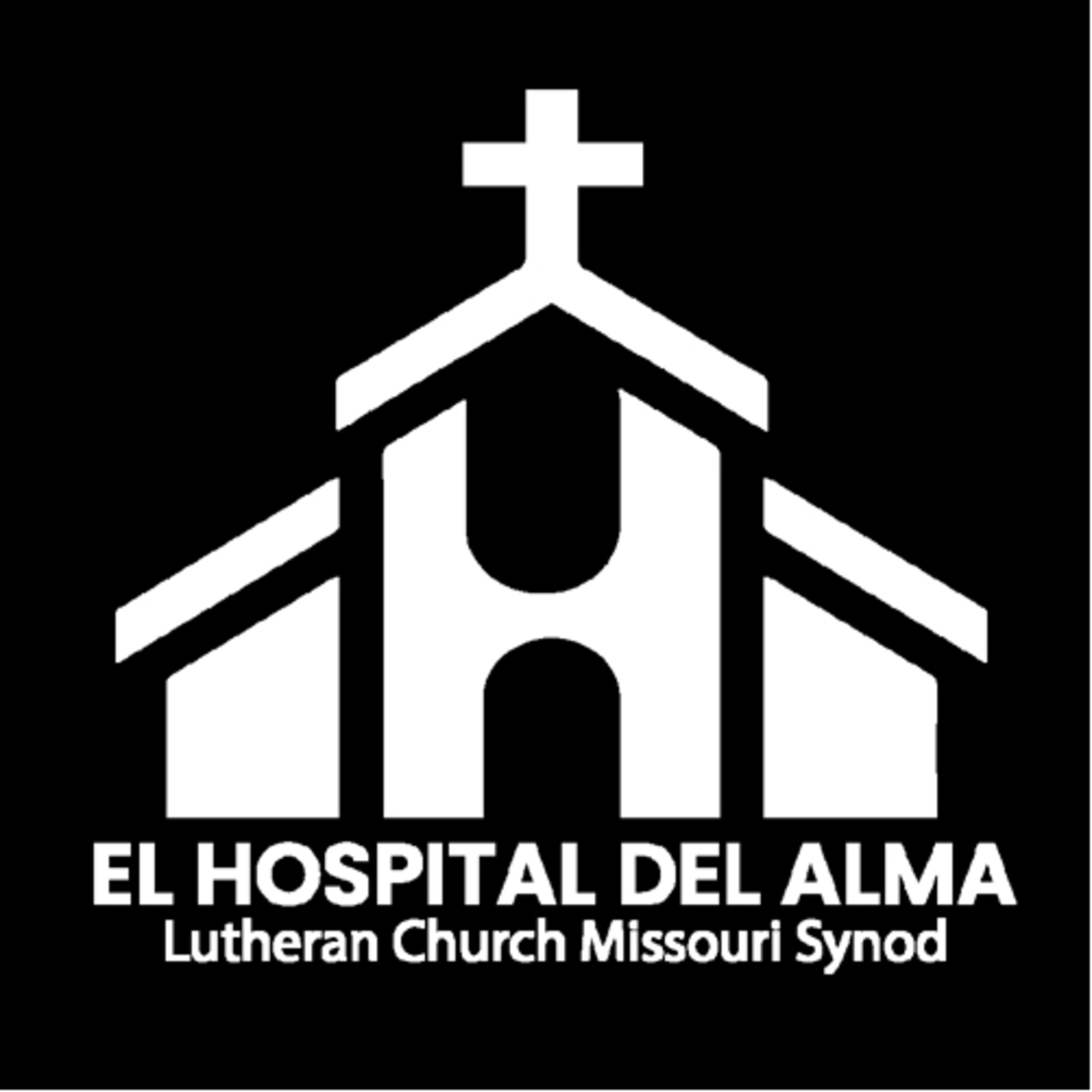 Cuantas veces debo perdonar a mi hermano???