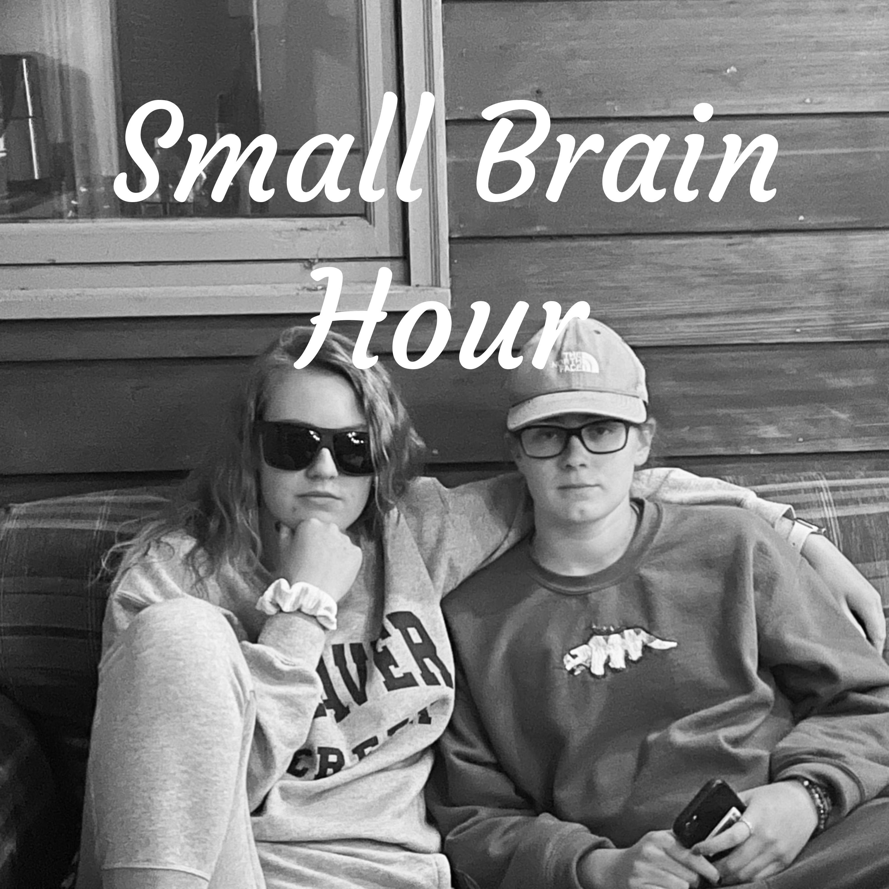 Small Brain Hour cover art