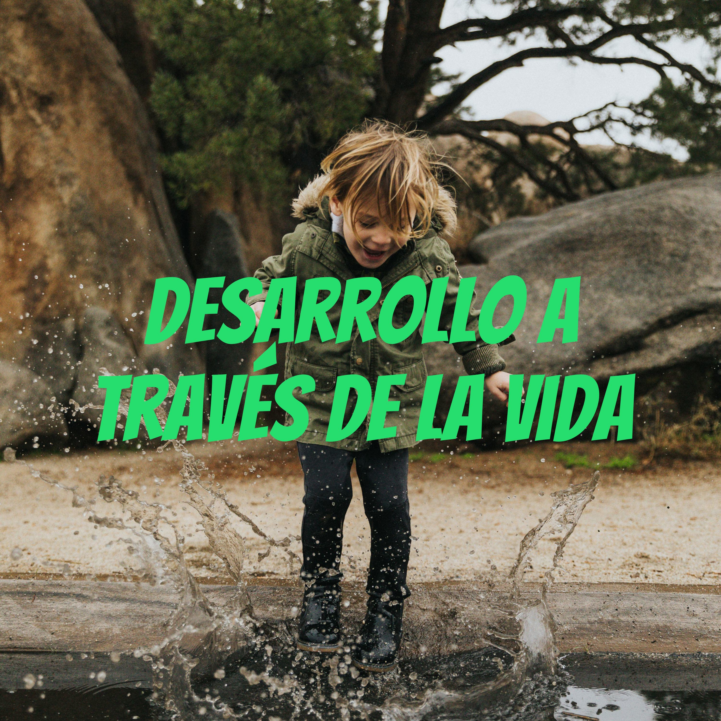 Desarrollo a través de la vida cover art