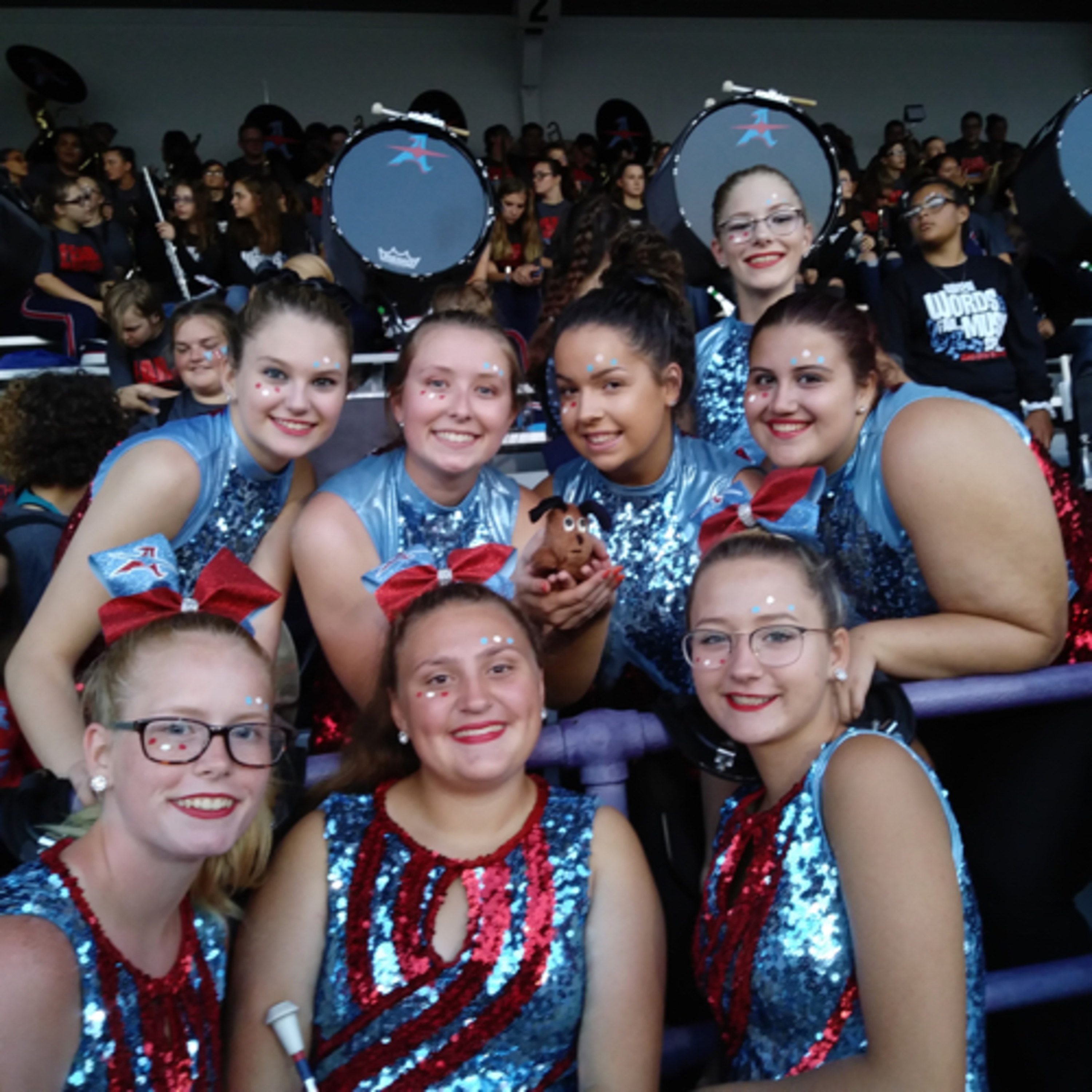 Performance importance cover art