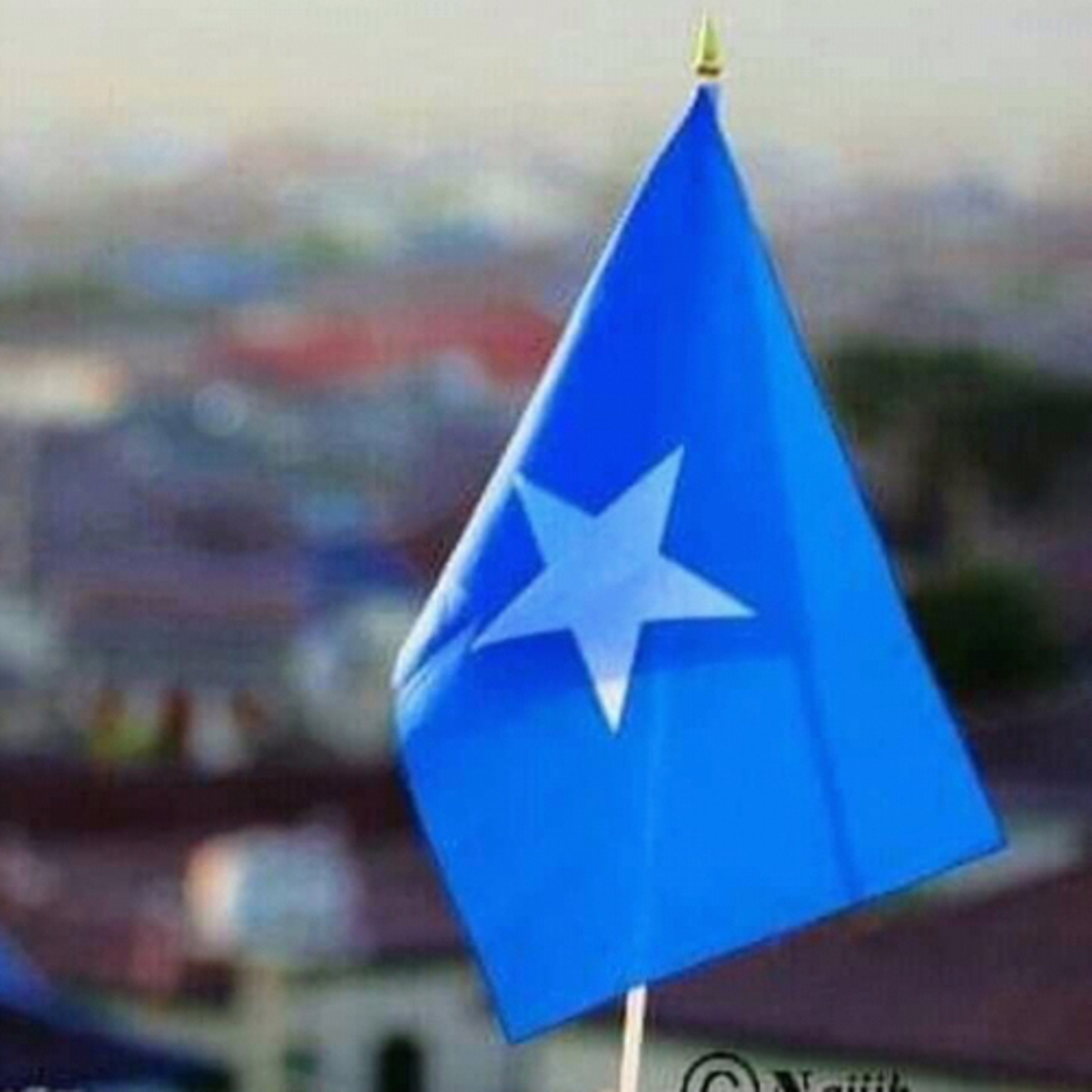 New Somali Tube cover art