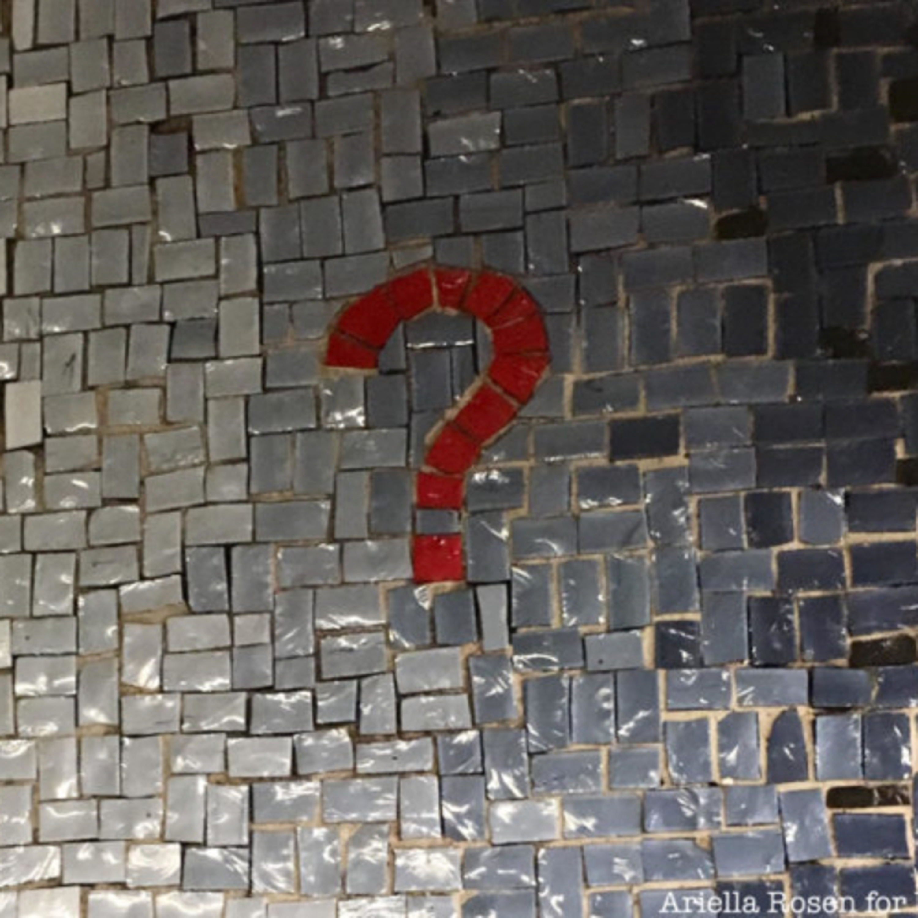 Histories at the Museum