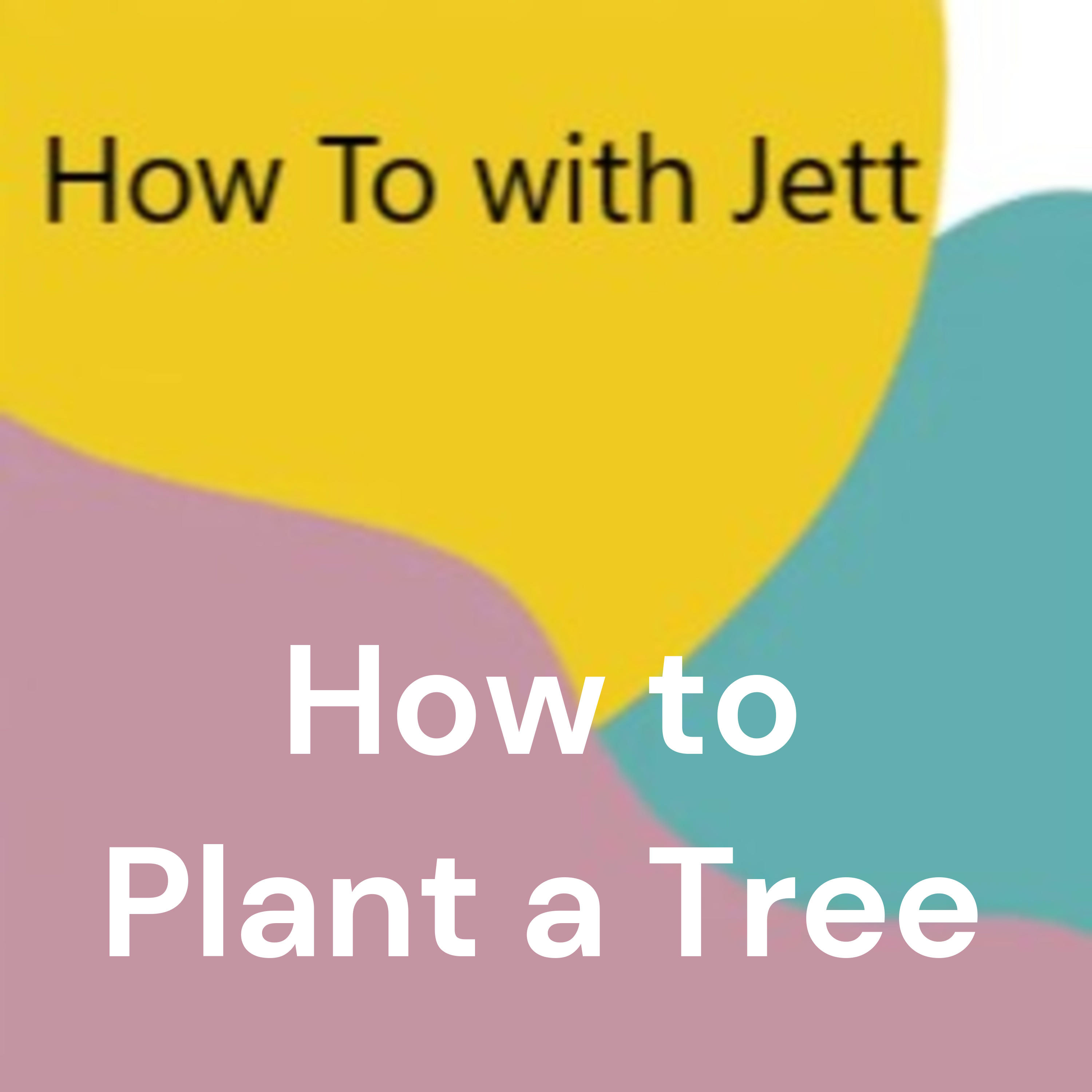 How to Plant a Tree
