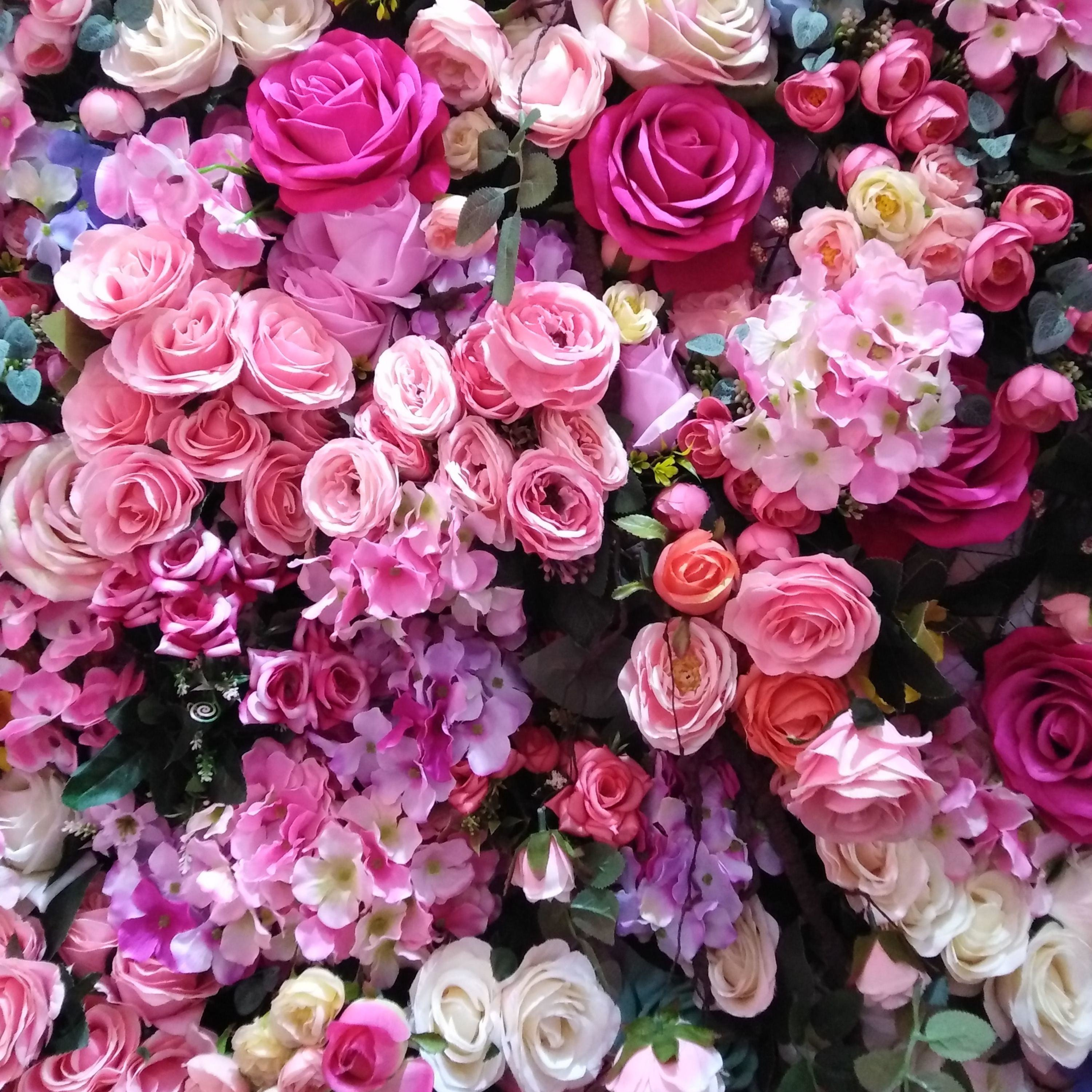 MyFutureMyFaith cover art