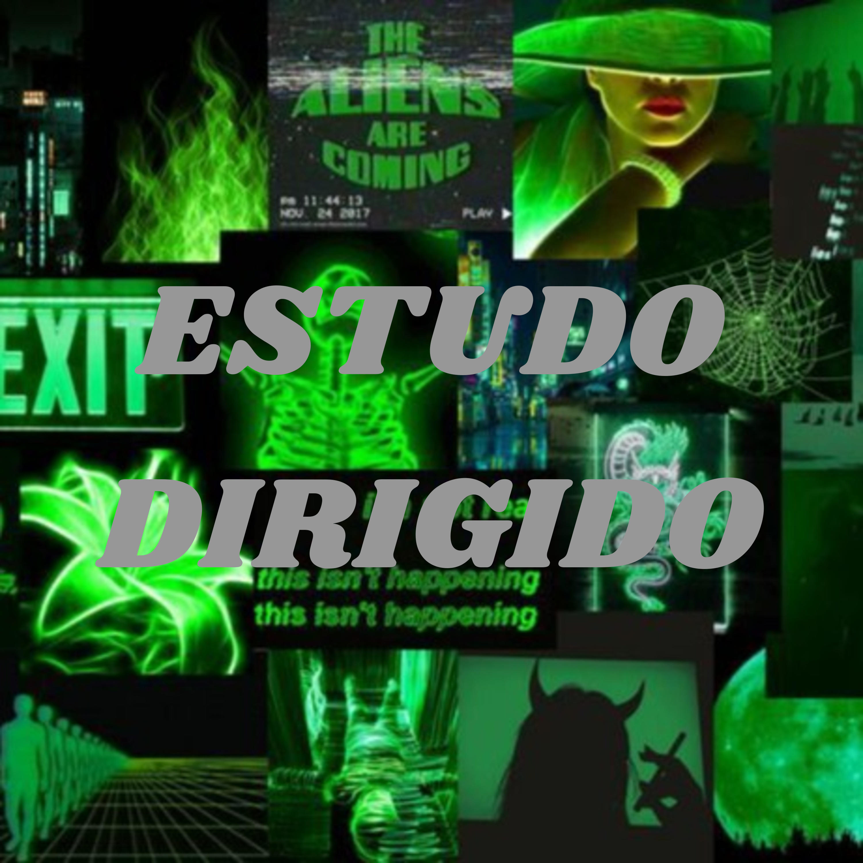 ESTUDO DIRIGIDO podcast artwork