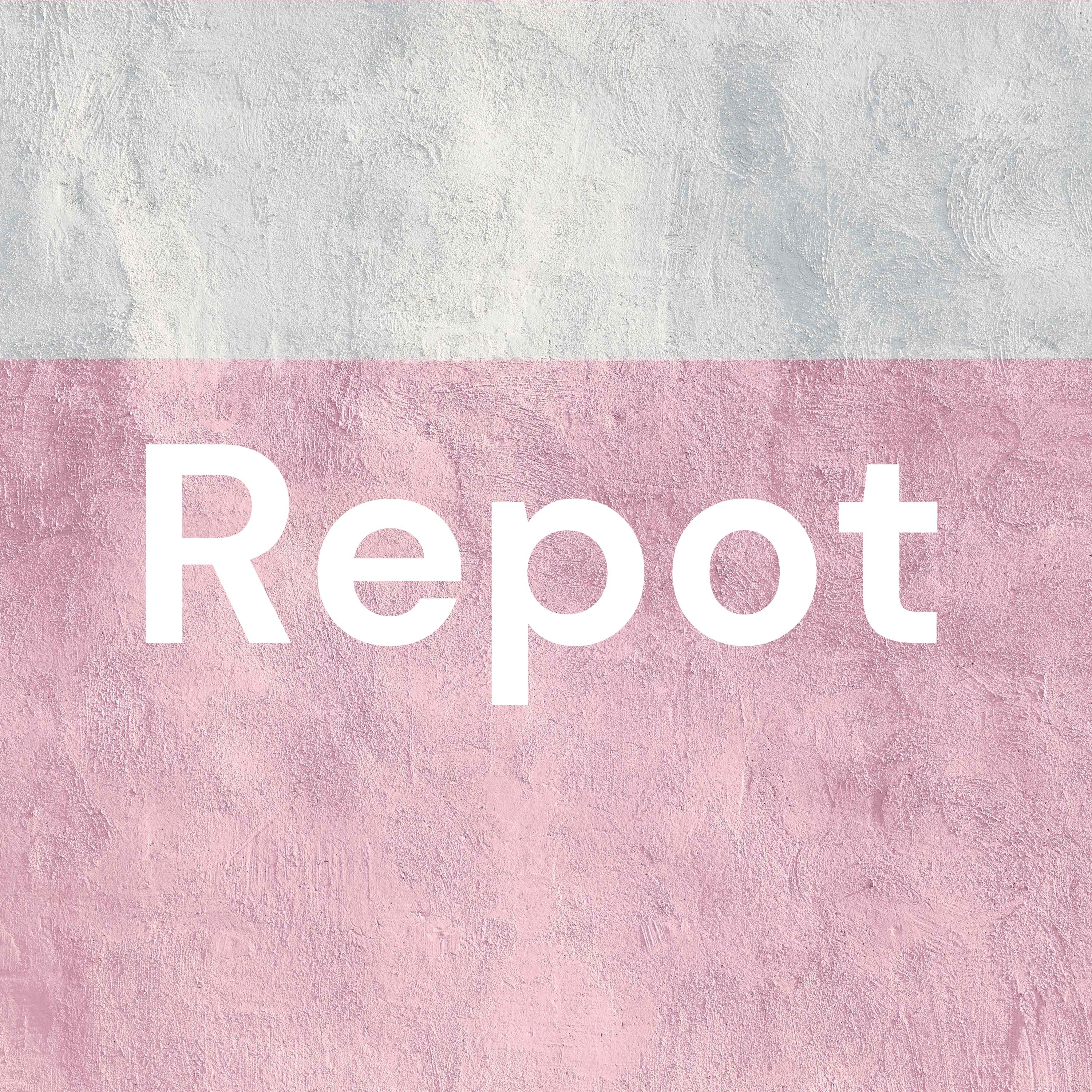 Repot cover art