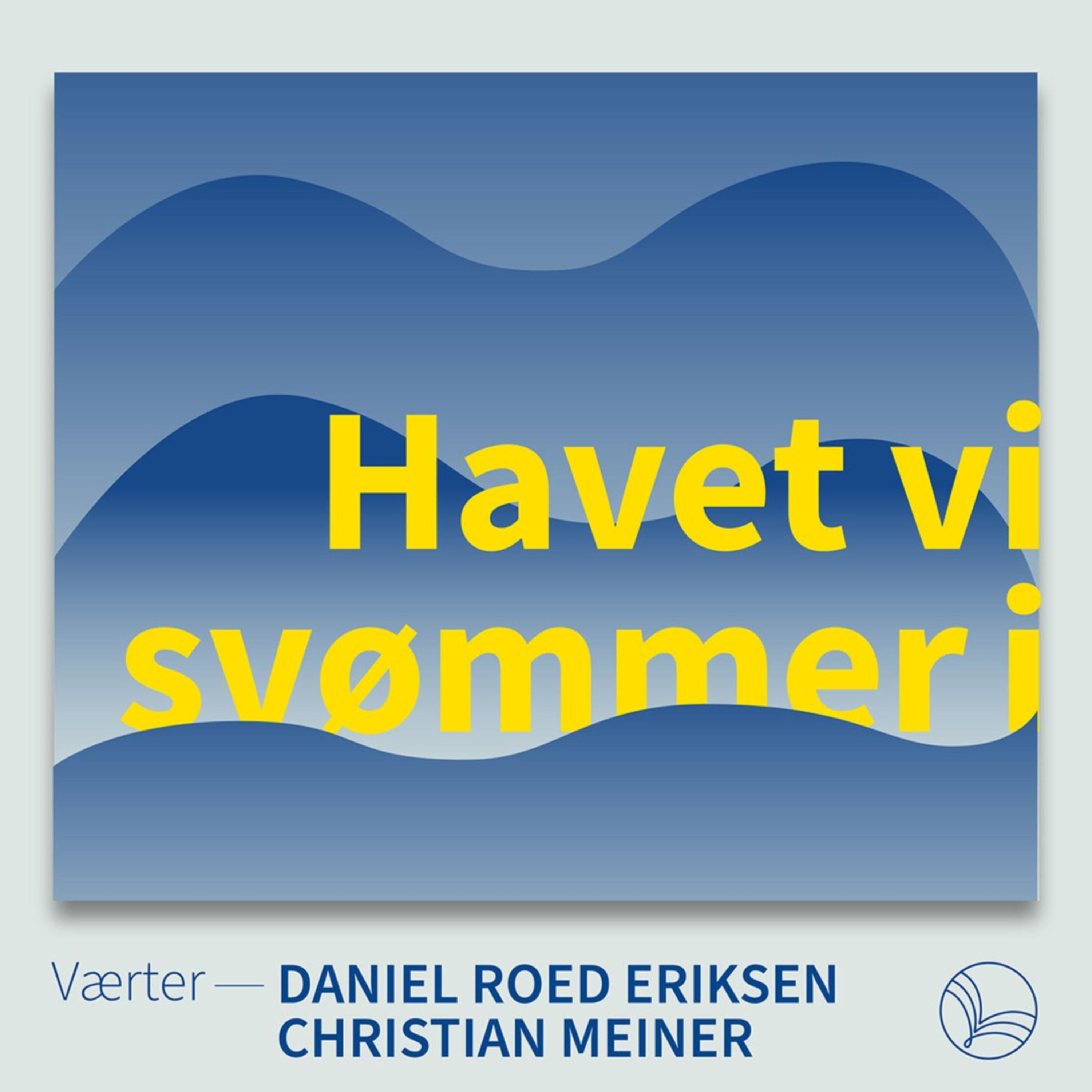 Havet vi svømmer i af Laundry