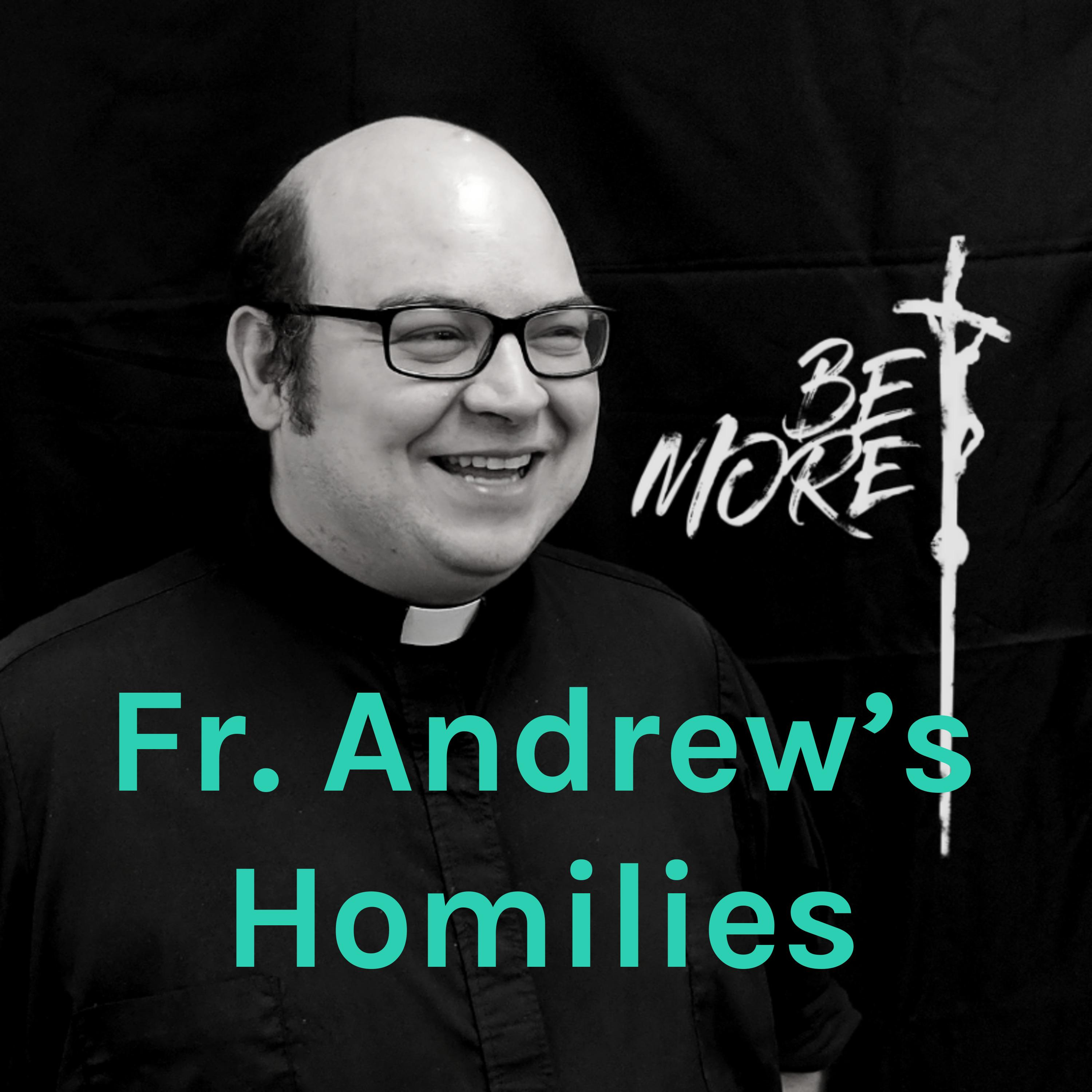 Fr. Andrew\'s Homilies
