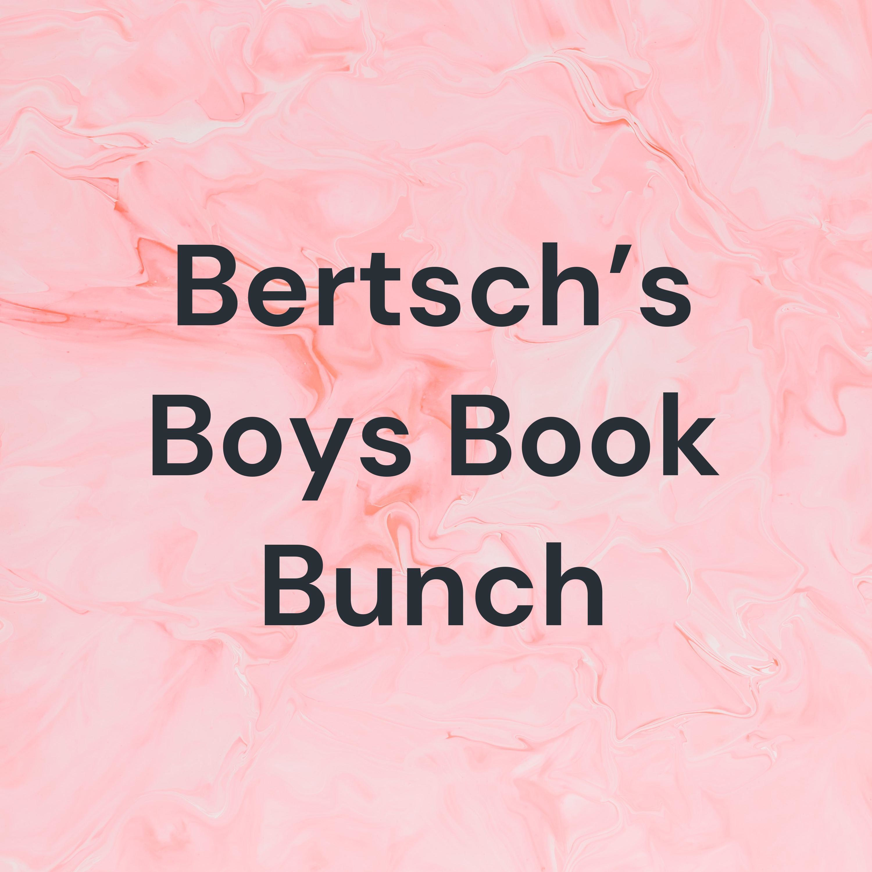 Bertsch’s Boys Book Bunch cover art