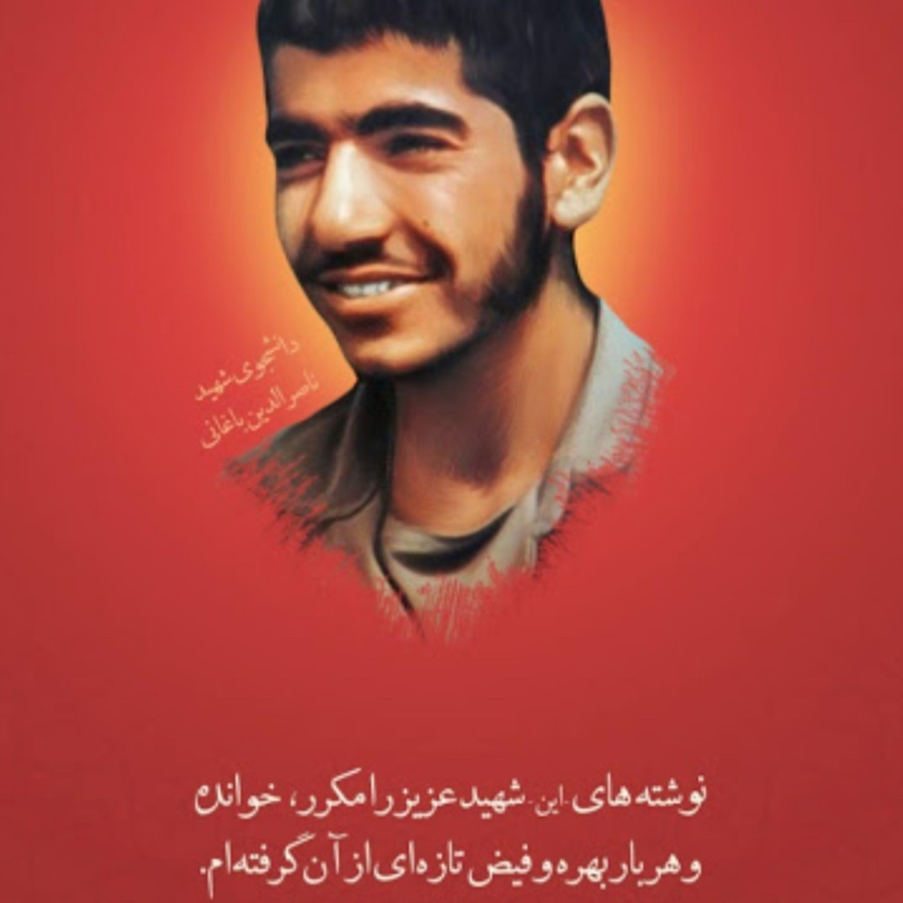 کاور وصیت نامه شهید ناصر الدین باغانی