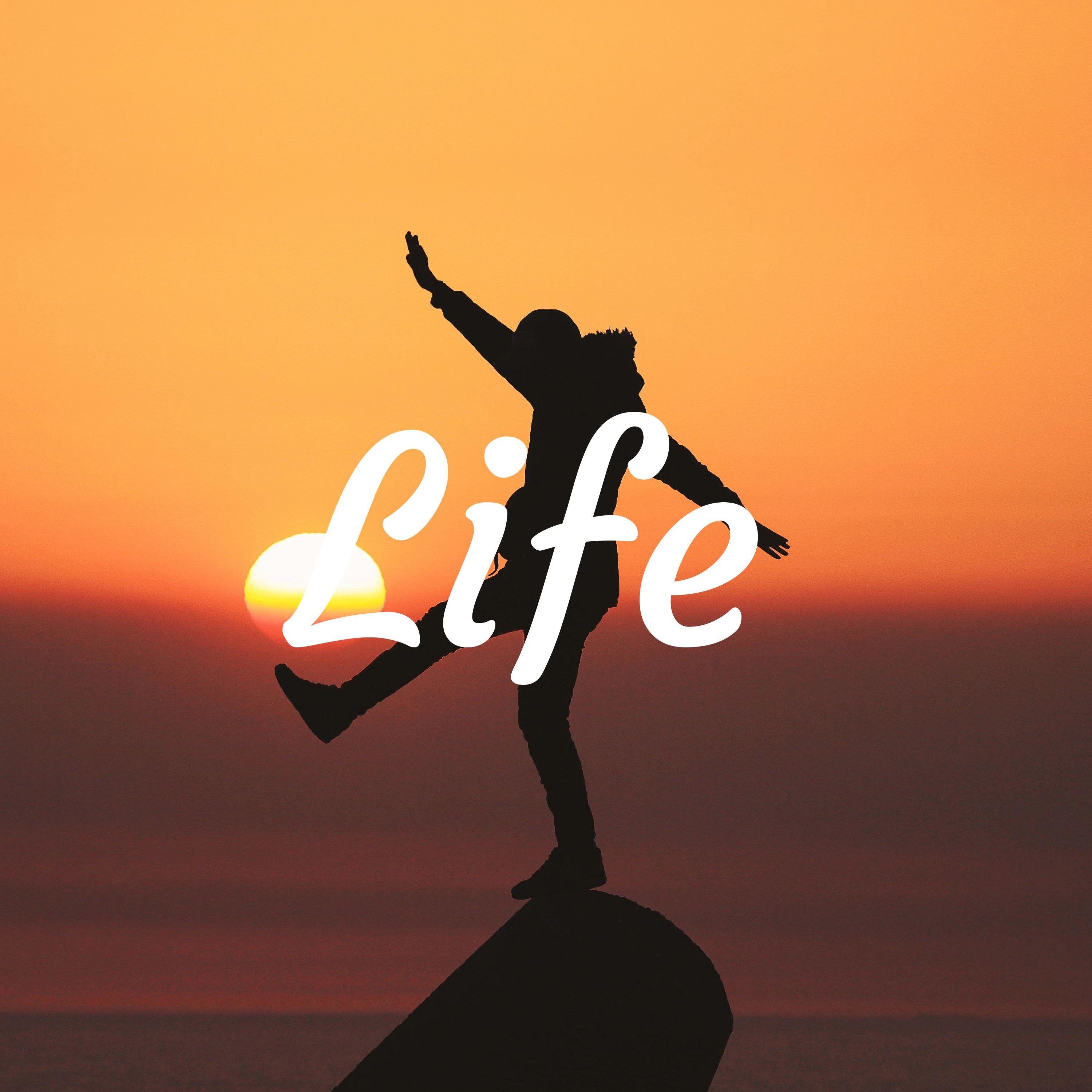 Life 
