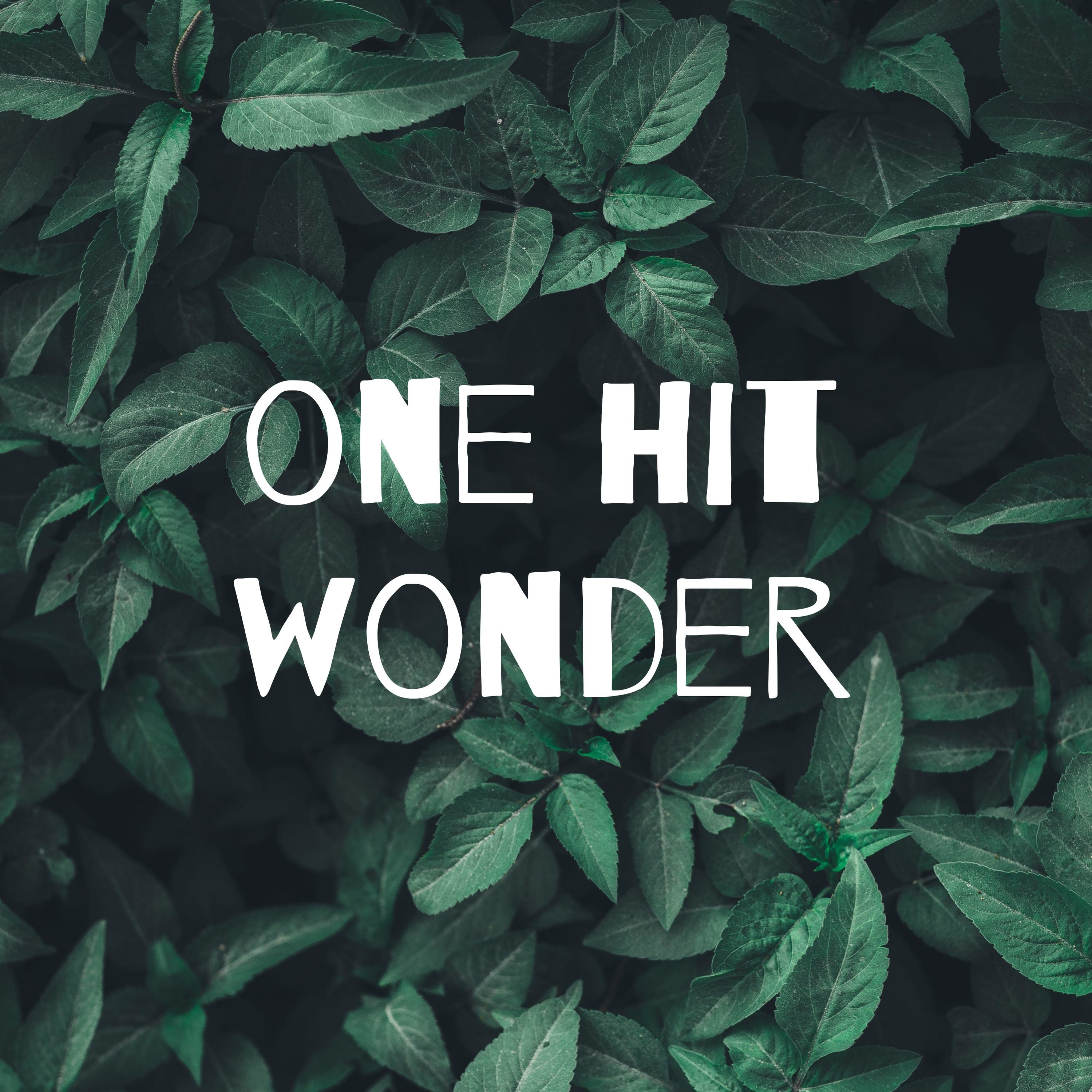one hit wonder