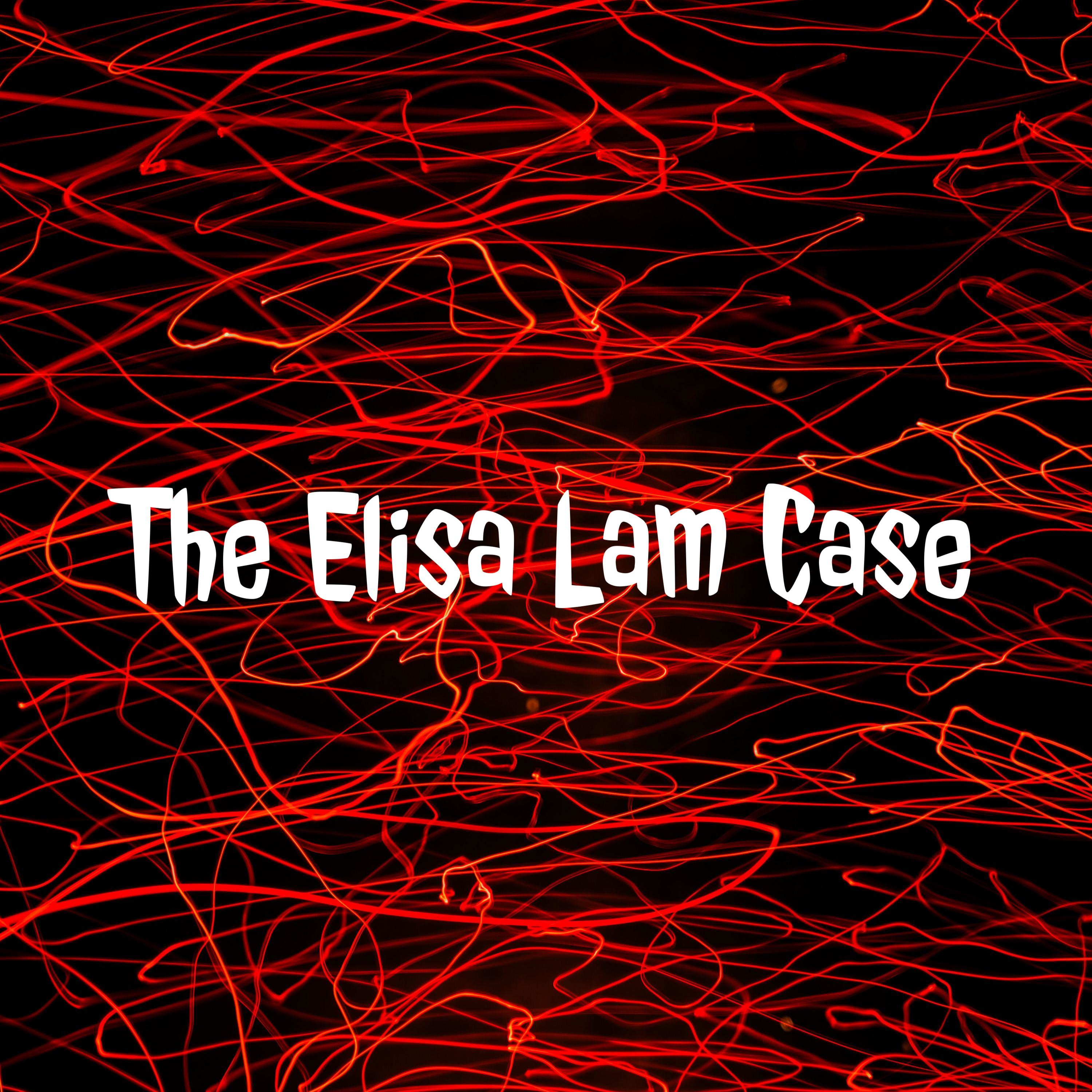 The Elisa Lam Case