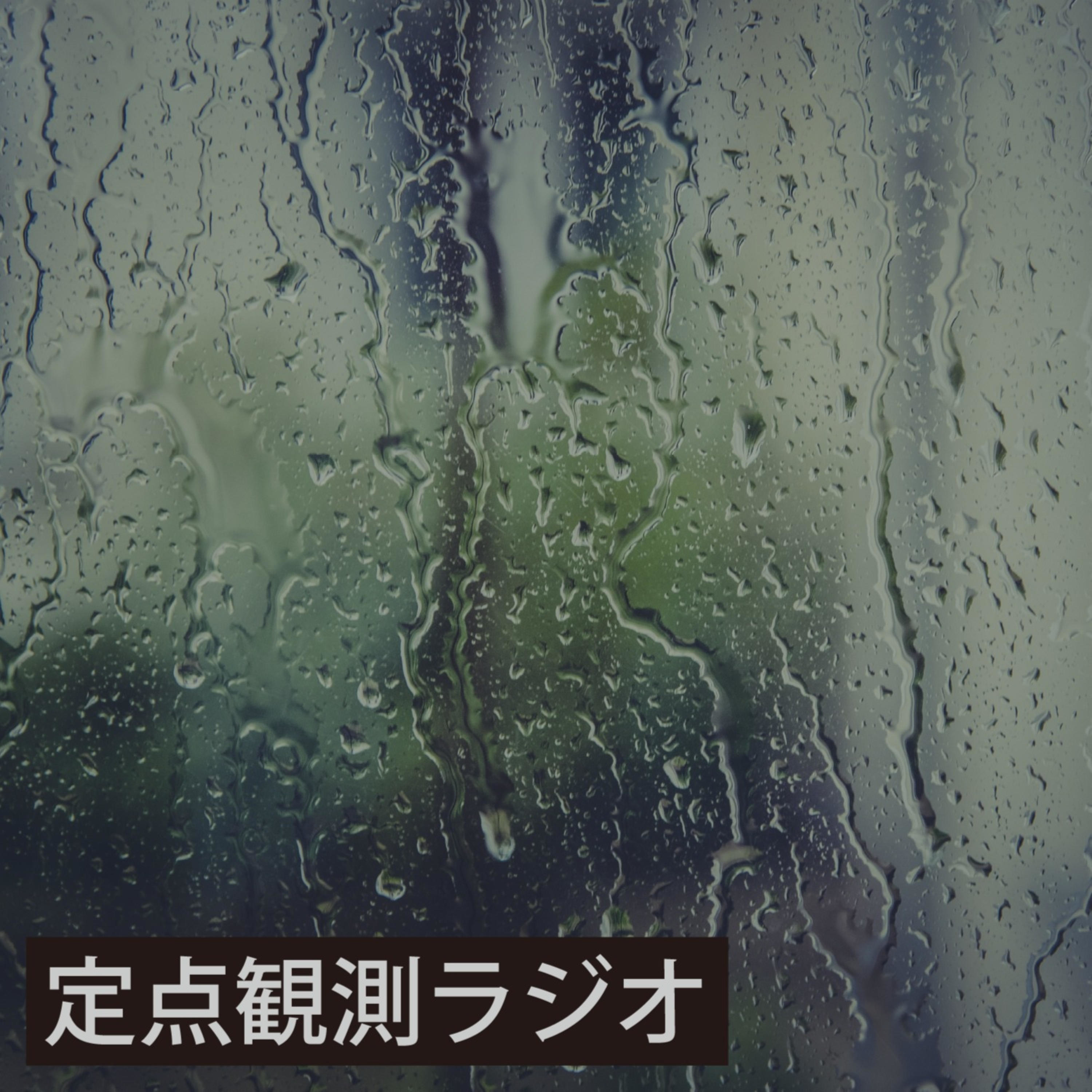 定点観測ラジオ