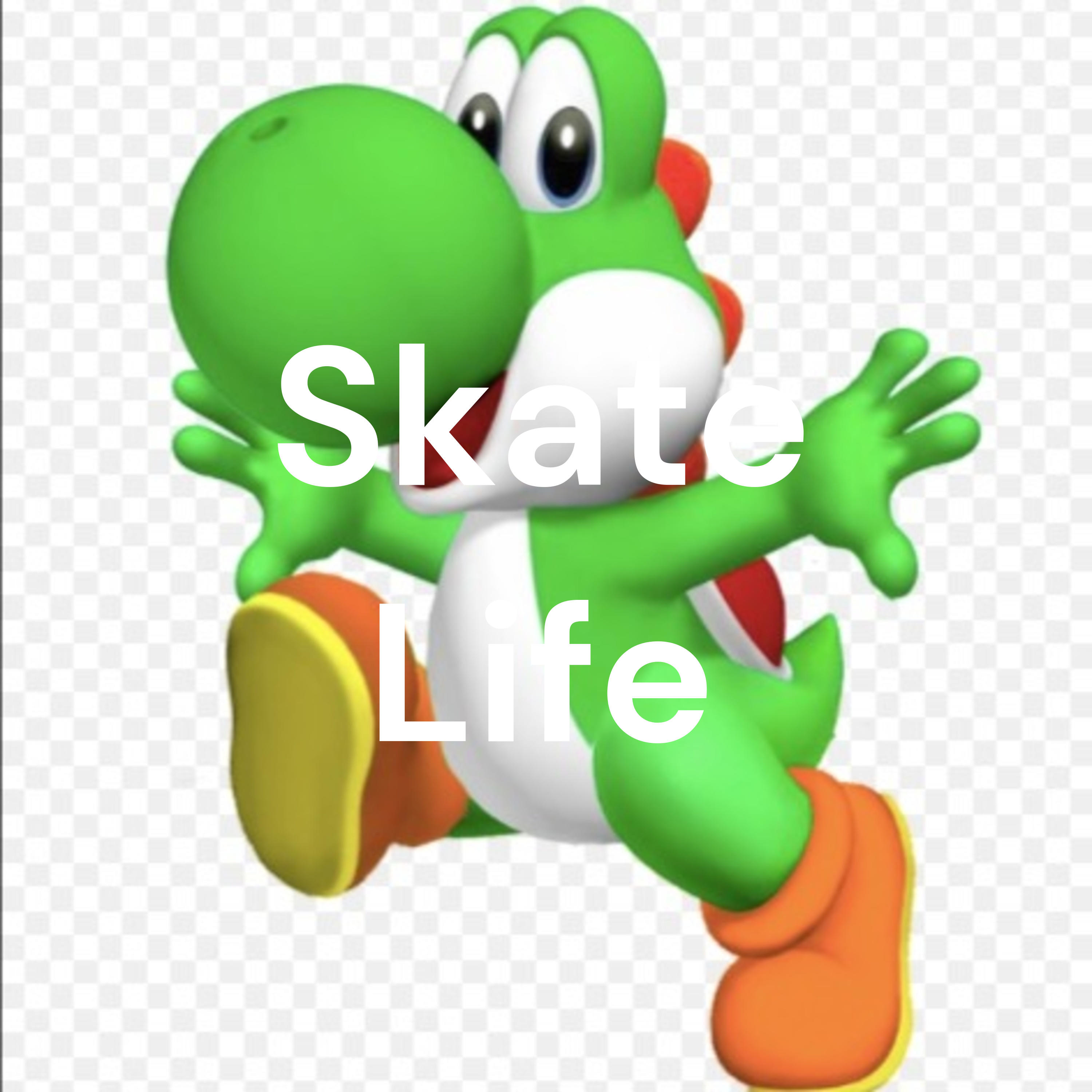 Skate Life