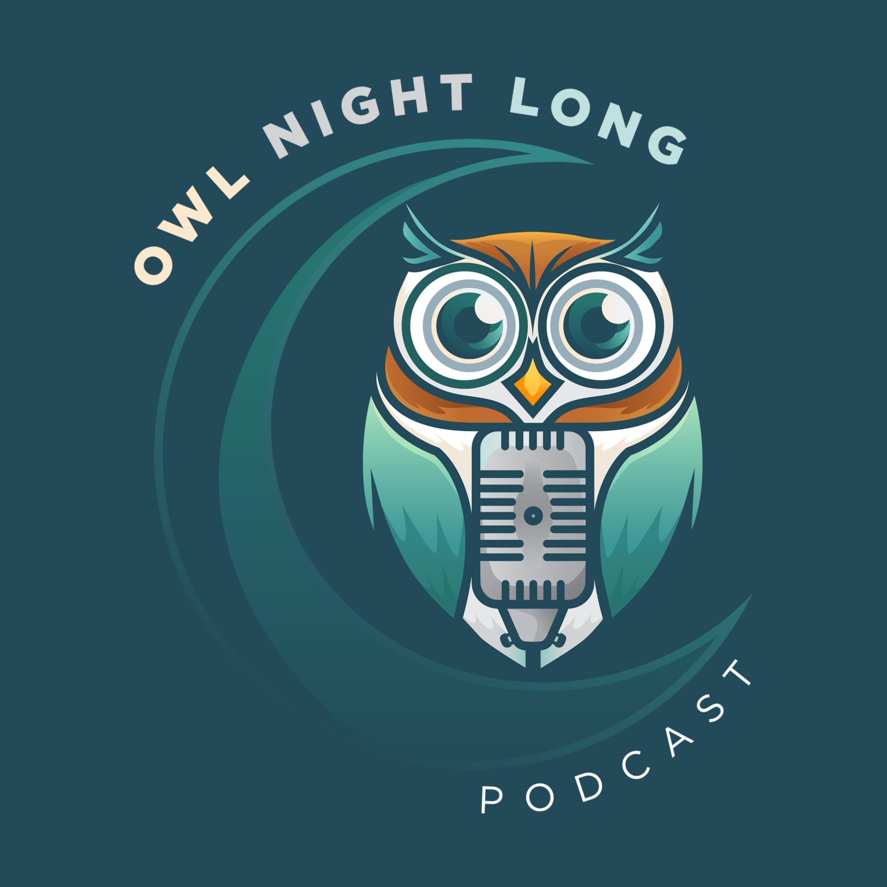 Owl Night Long cover art