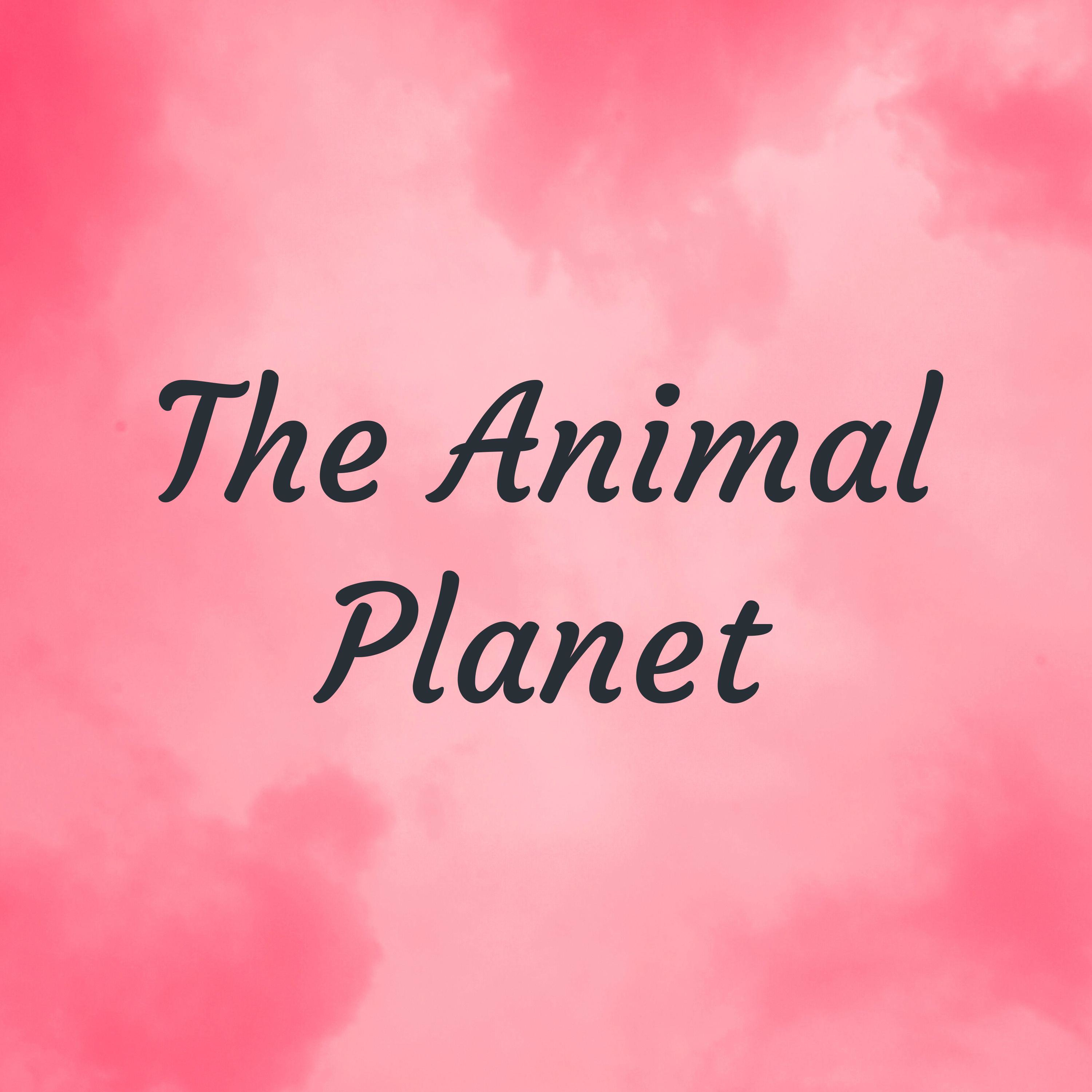 The Animal Planet The Animal Planet