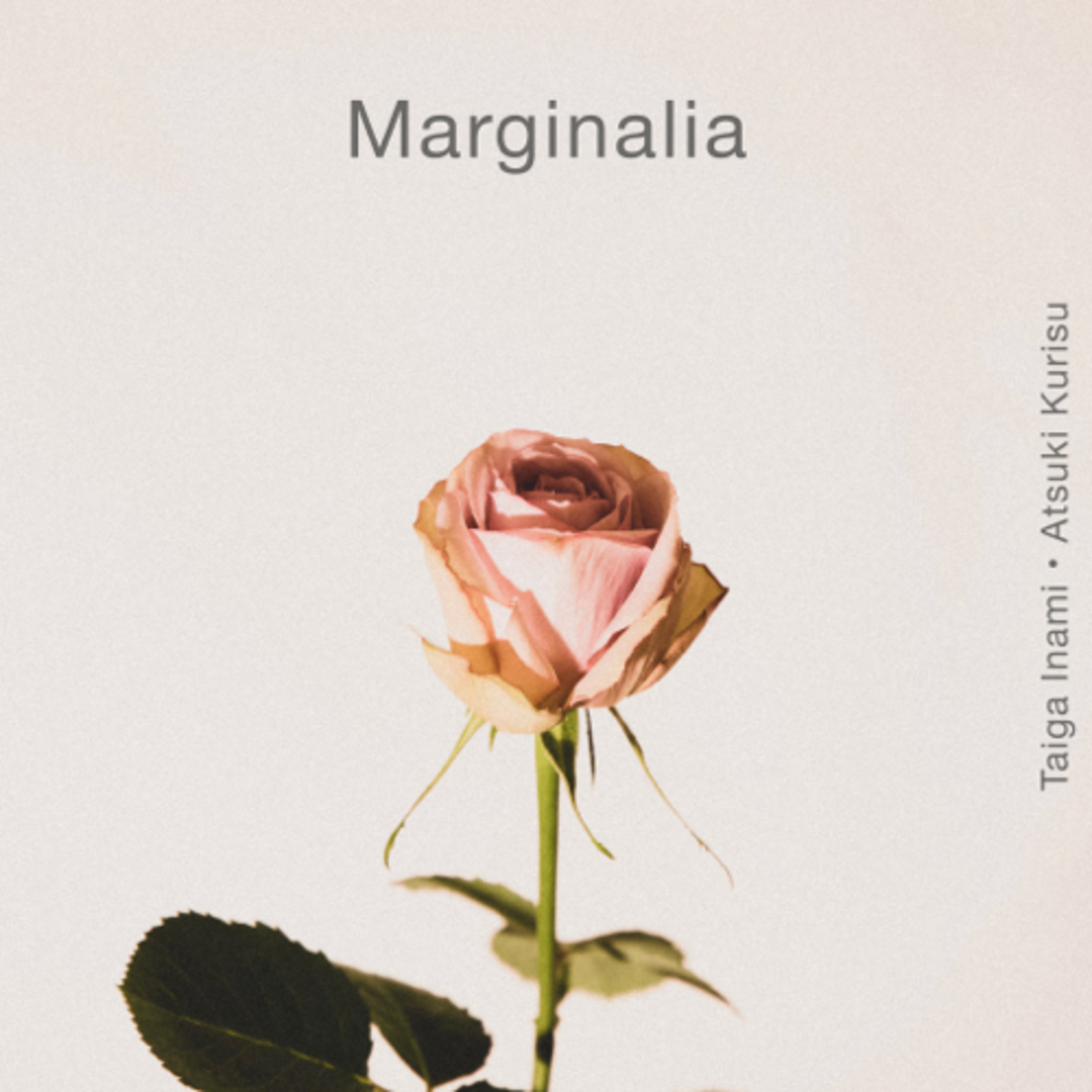 Marginalia podcast artwork