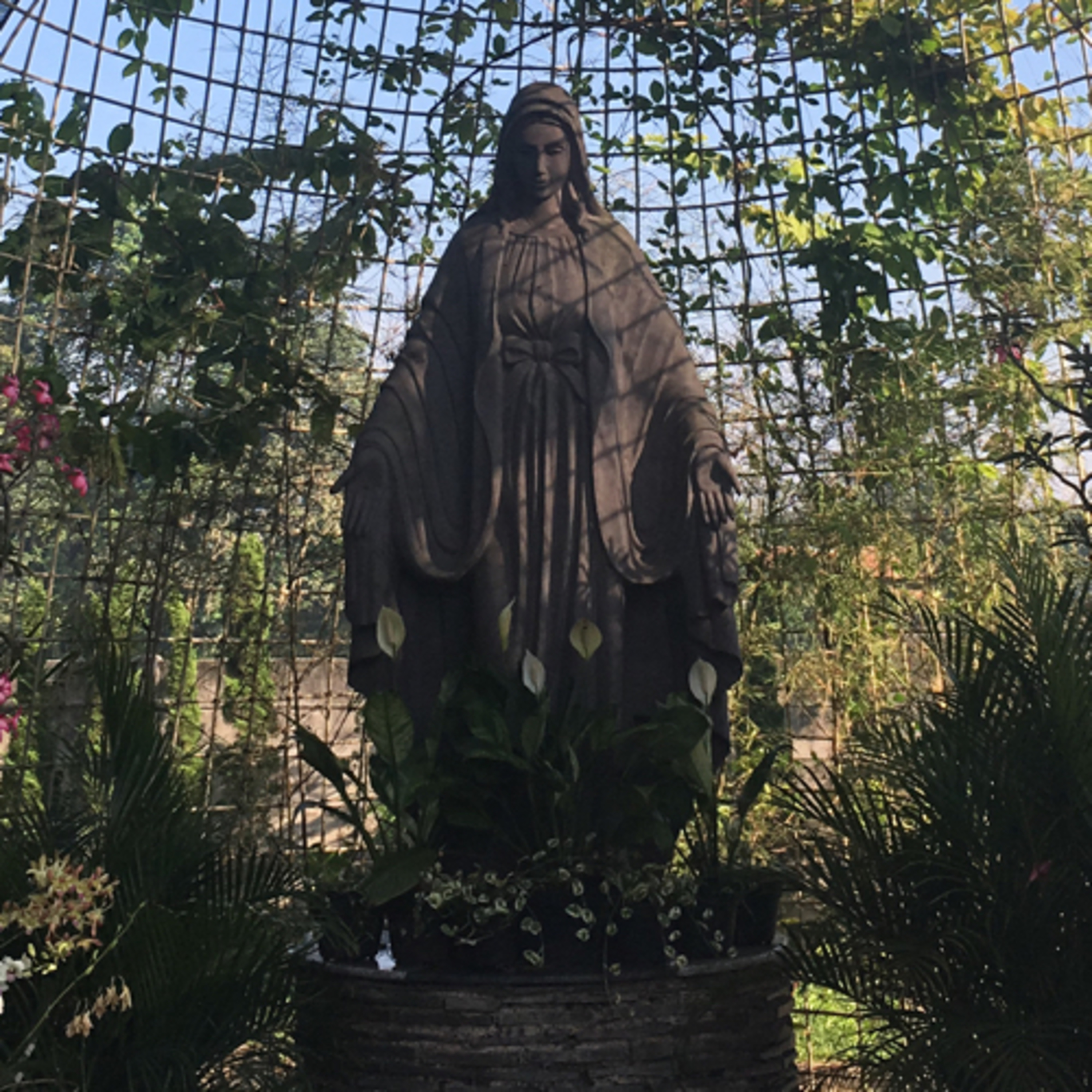 Oase Katolik cover art