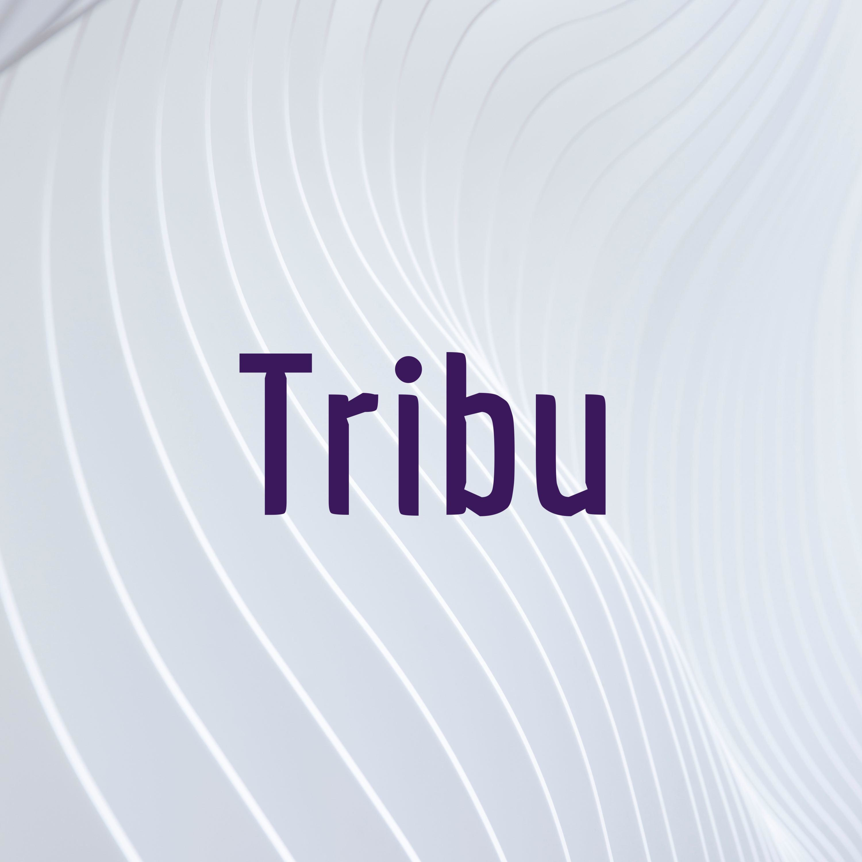 TRIBU cover art