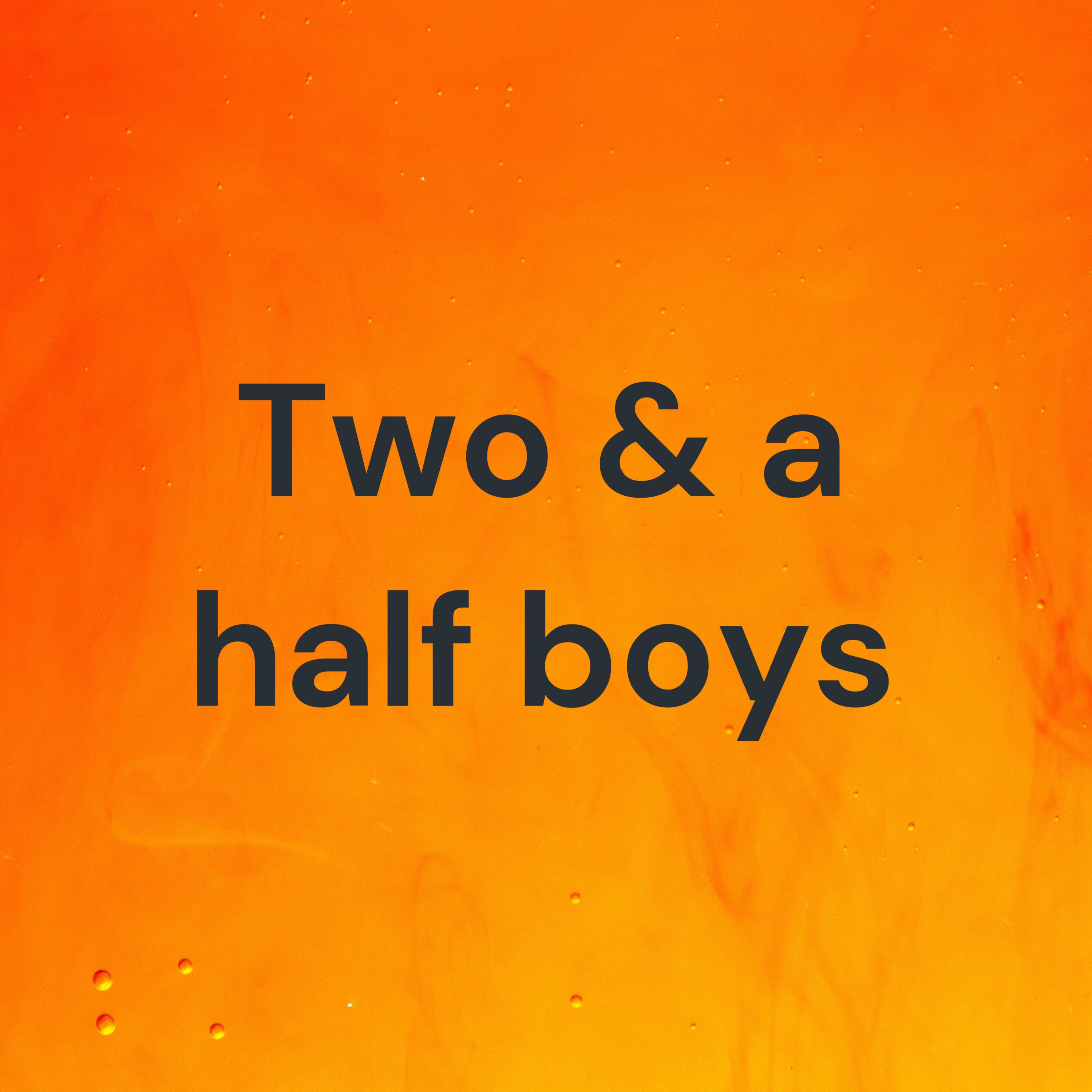Two & a half boys cover art