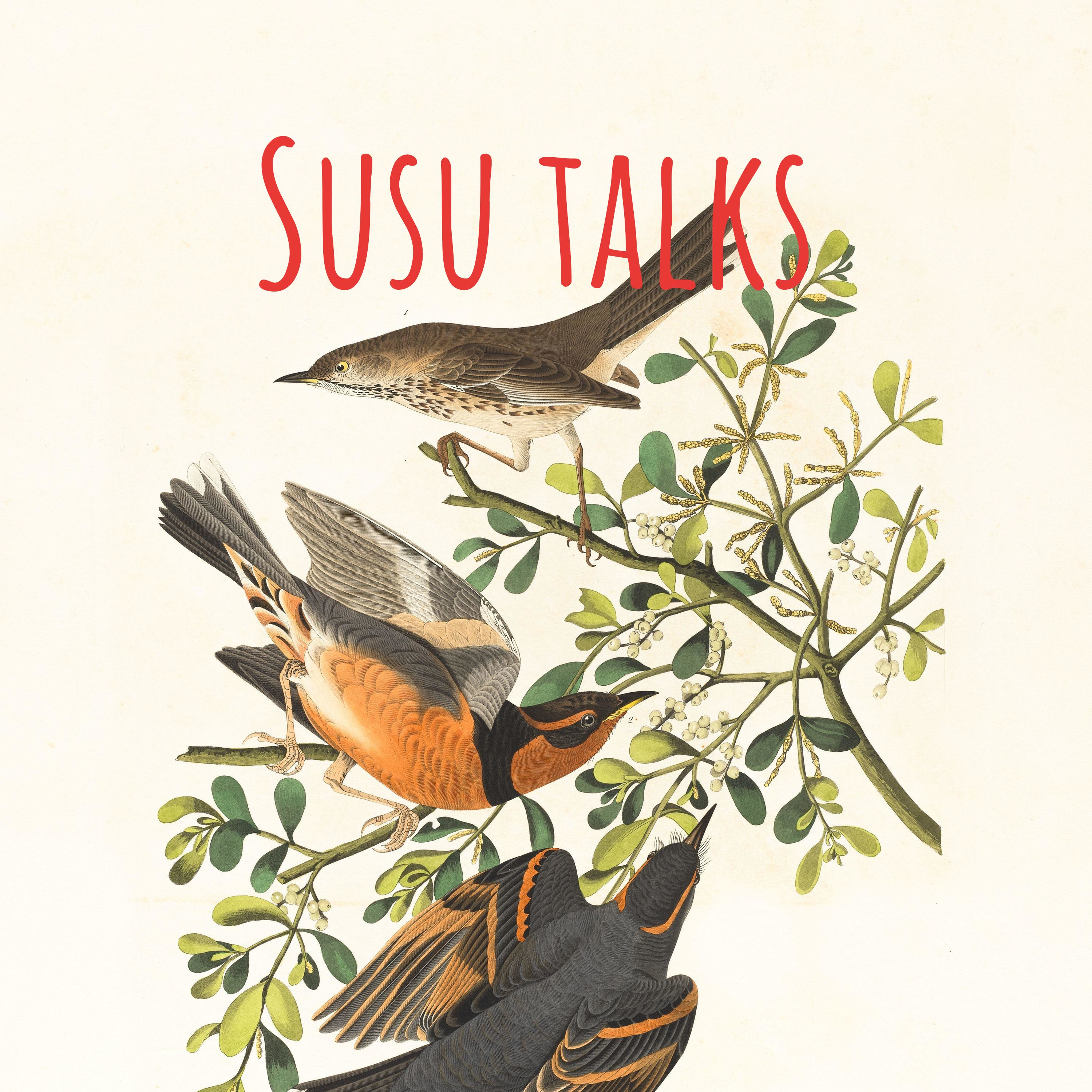Susu talks cover art