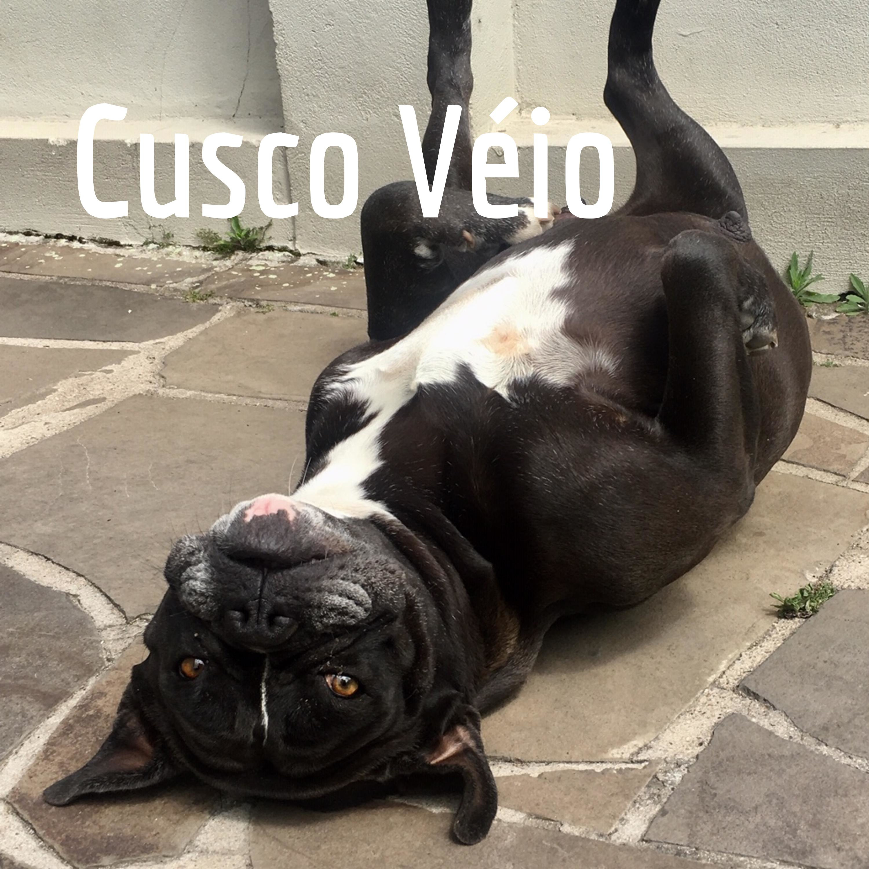 Cusco Véio no 5ª GeoDia