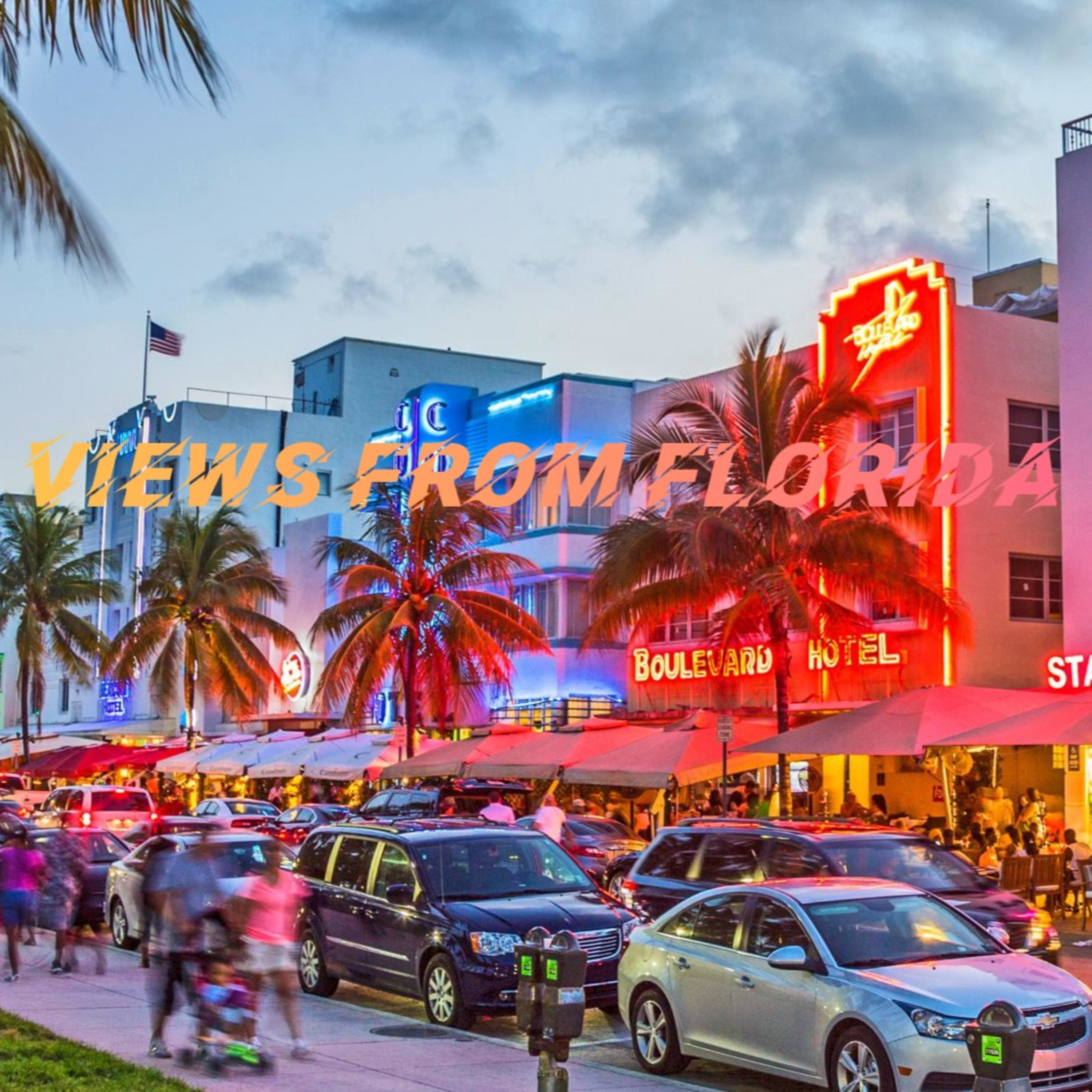 Views From Florida cover art