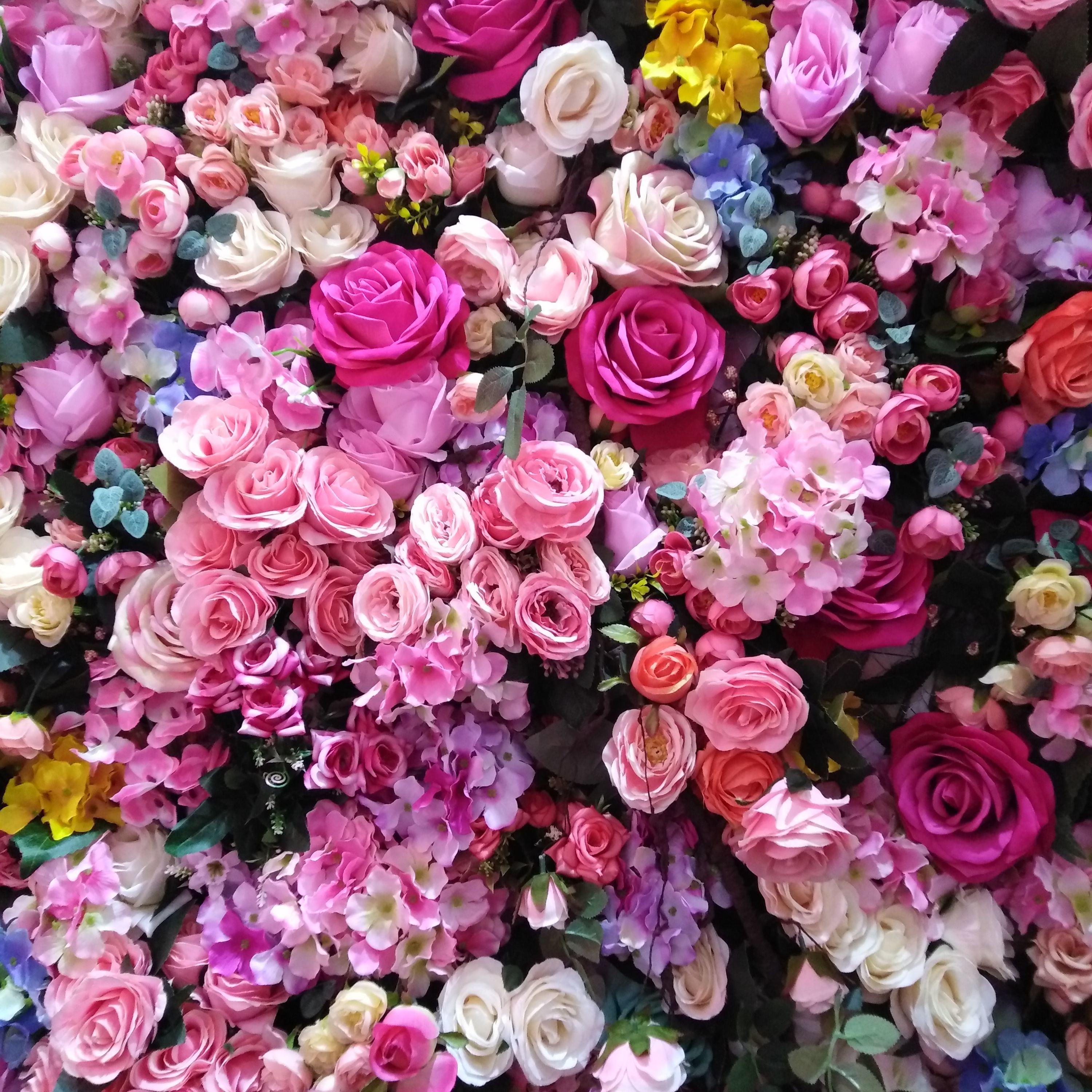 podcast de los 3 tipos de ensayo cover art