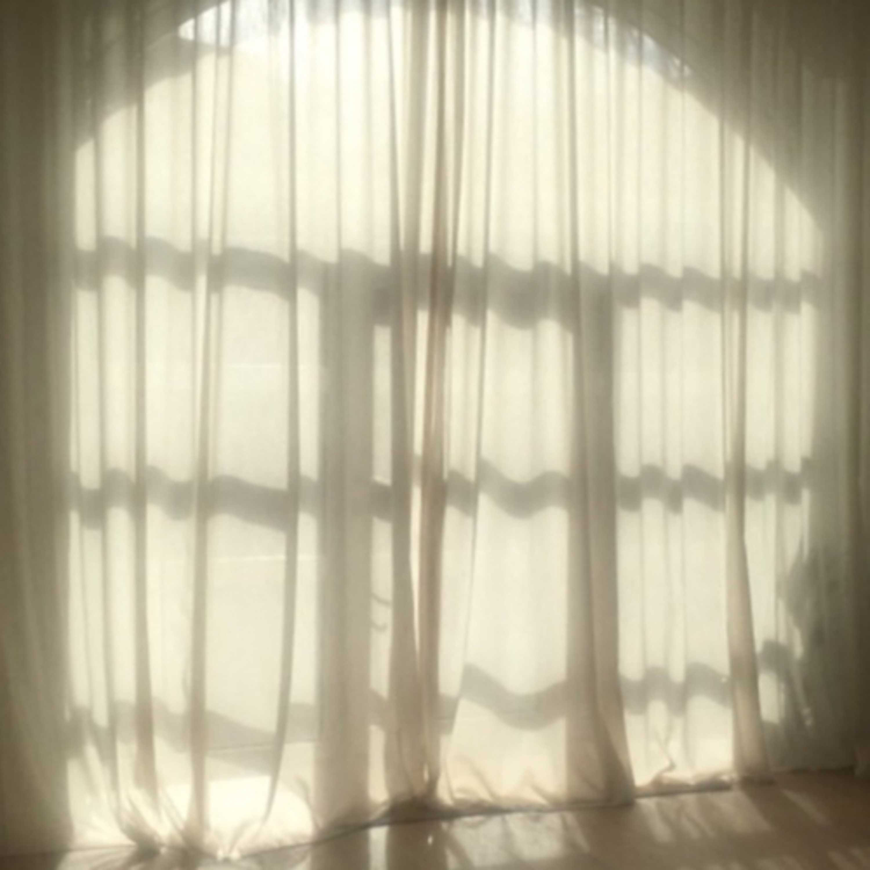 The Dreaming Bloom af Fulvia