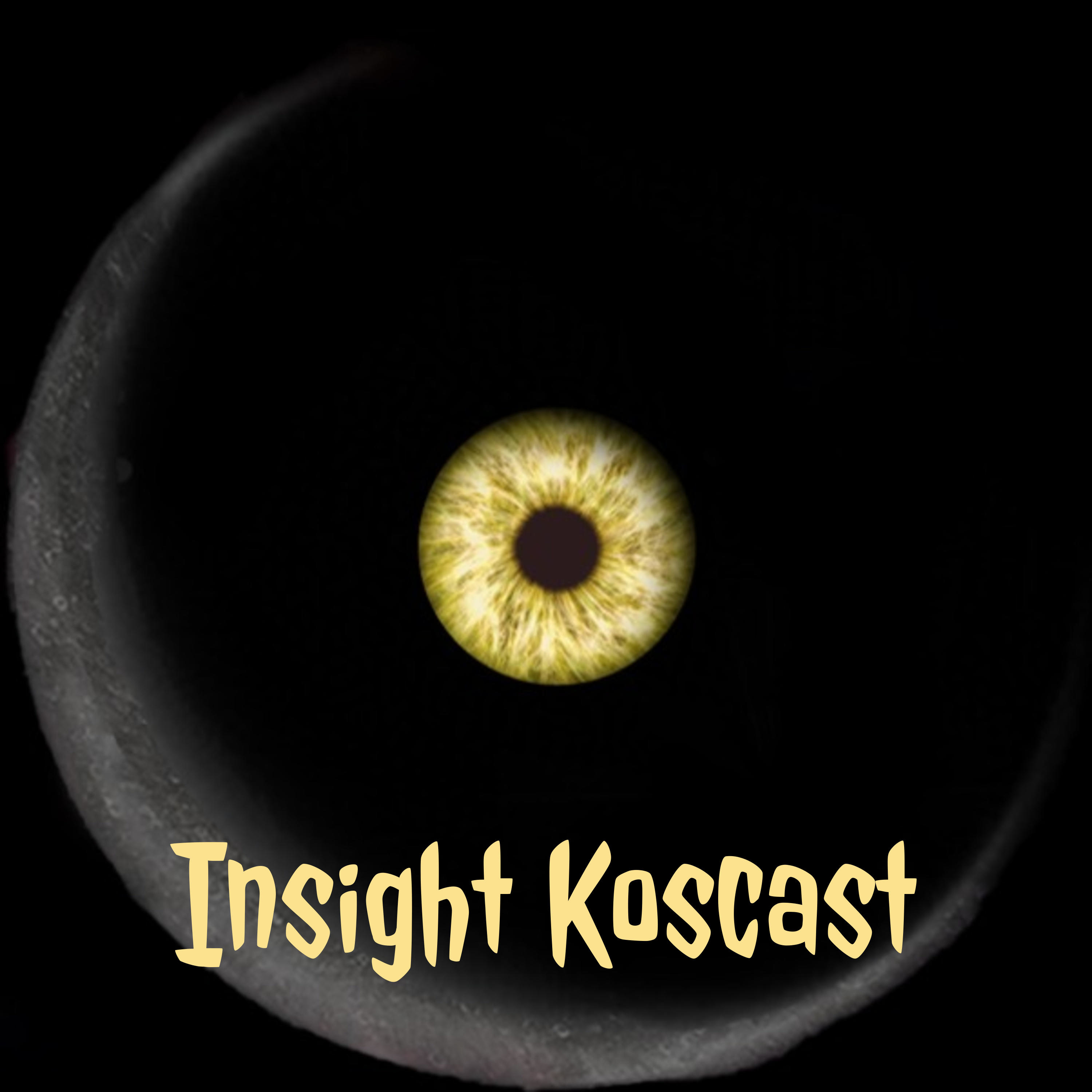 Insight cover art