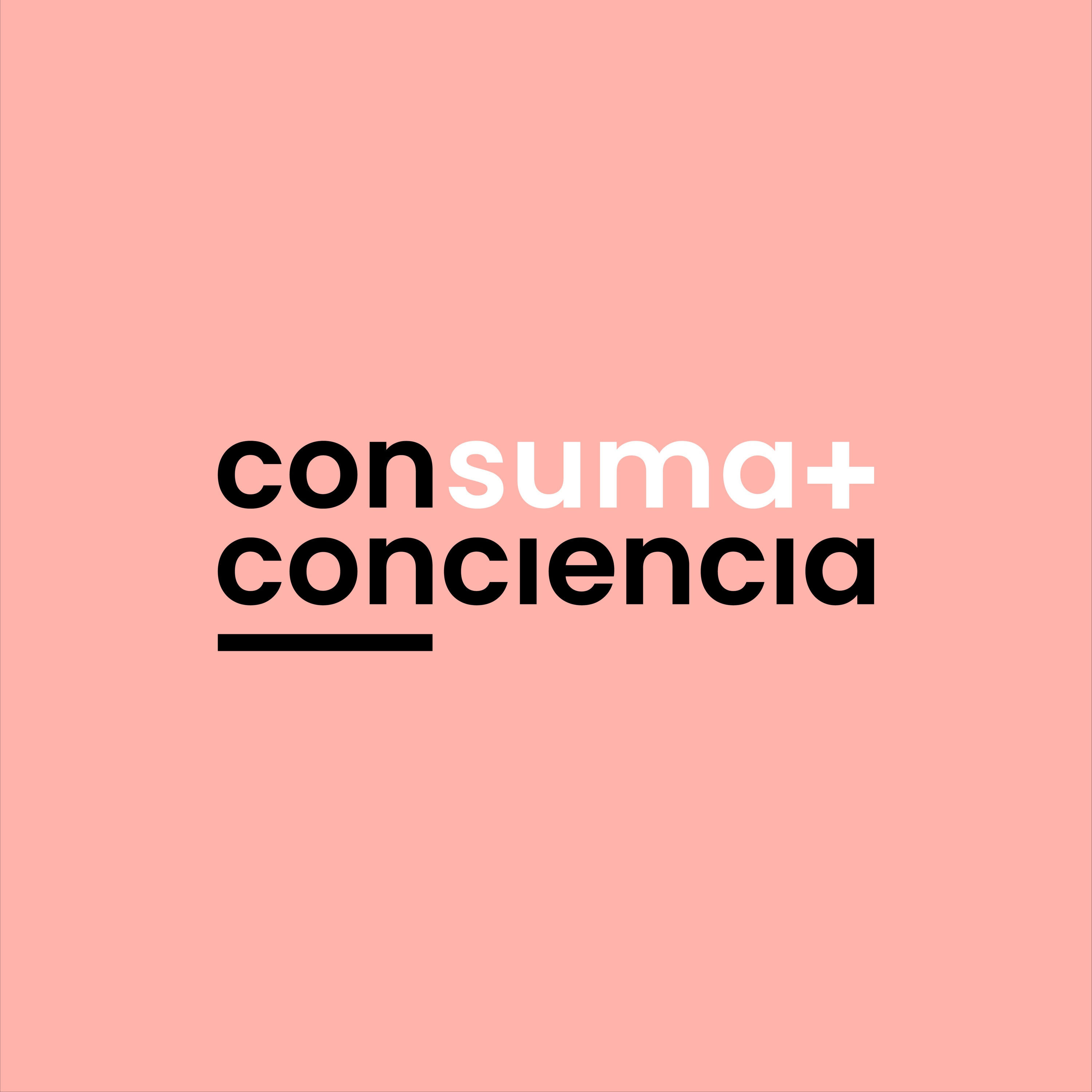 Con Suma Conciencia cover art