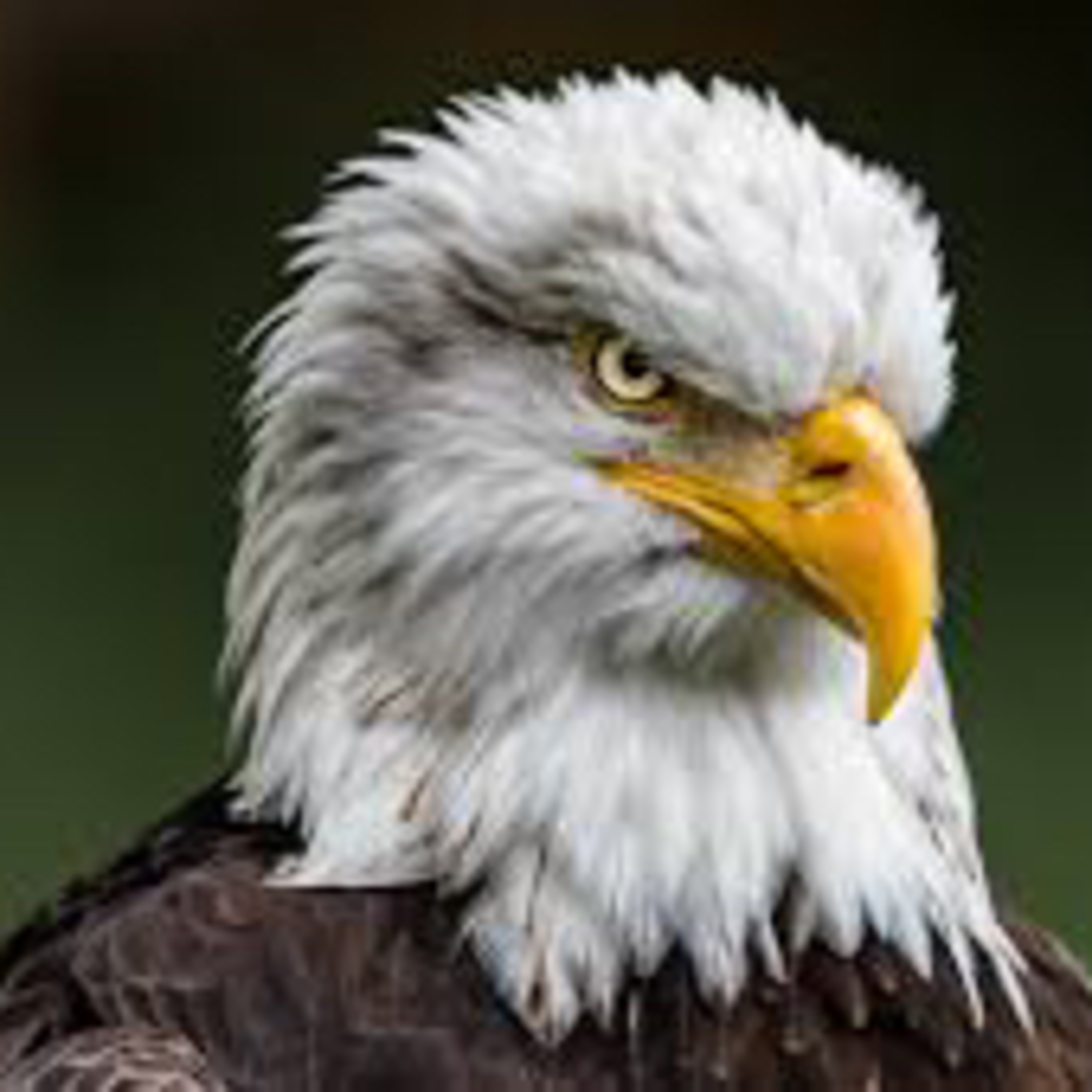 Searching the Store House through Prayer