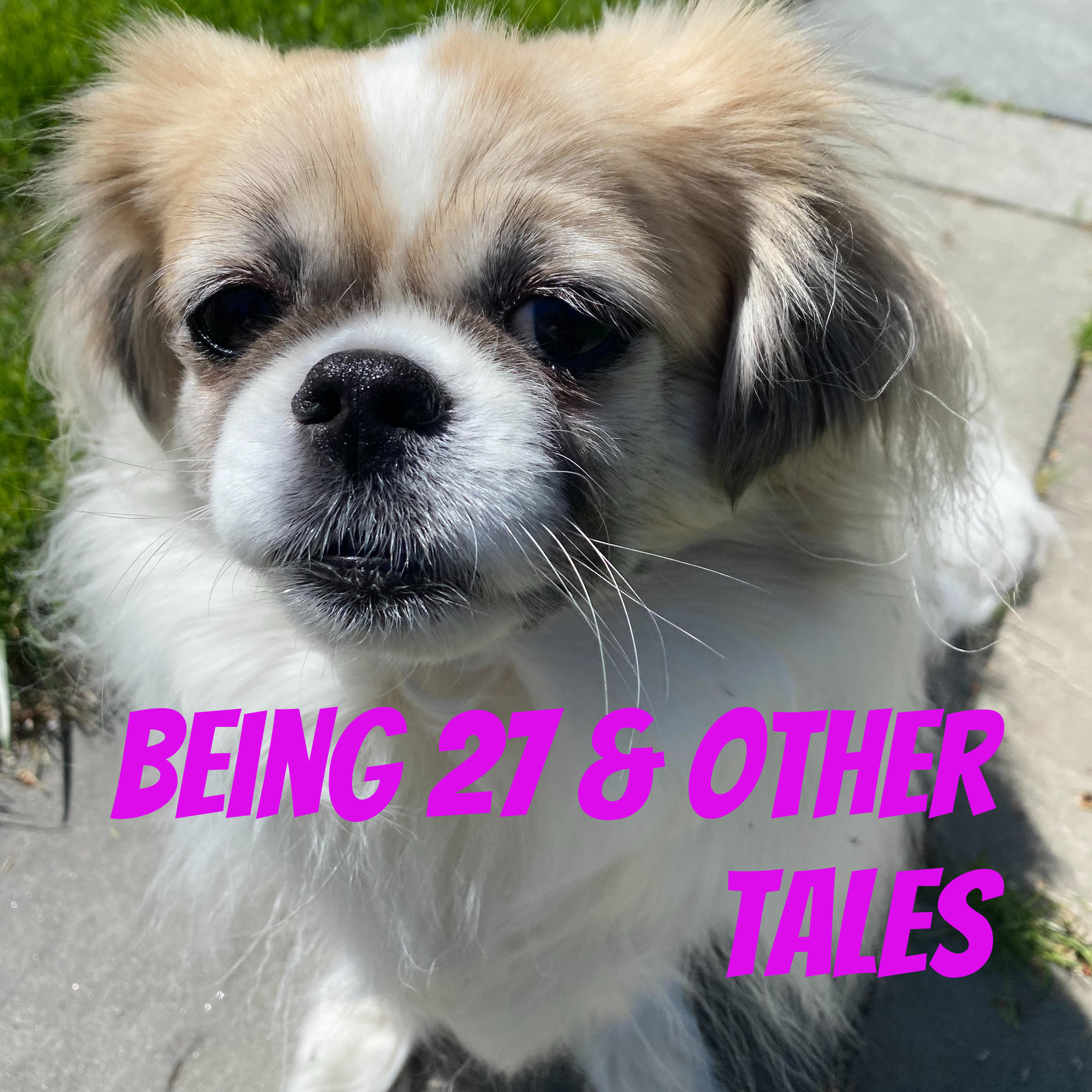 Being 27 & Other Tales