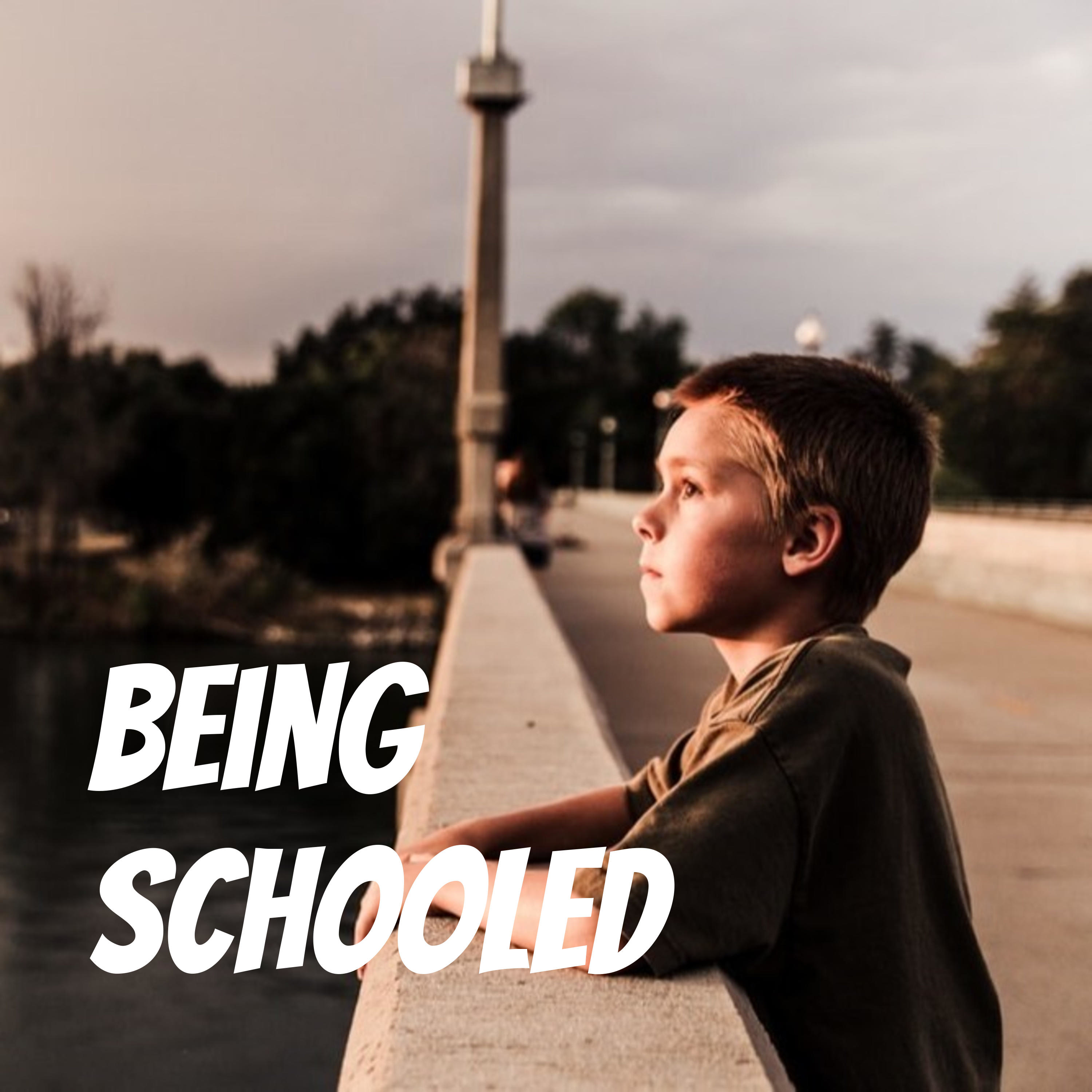 Being Schooled